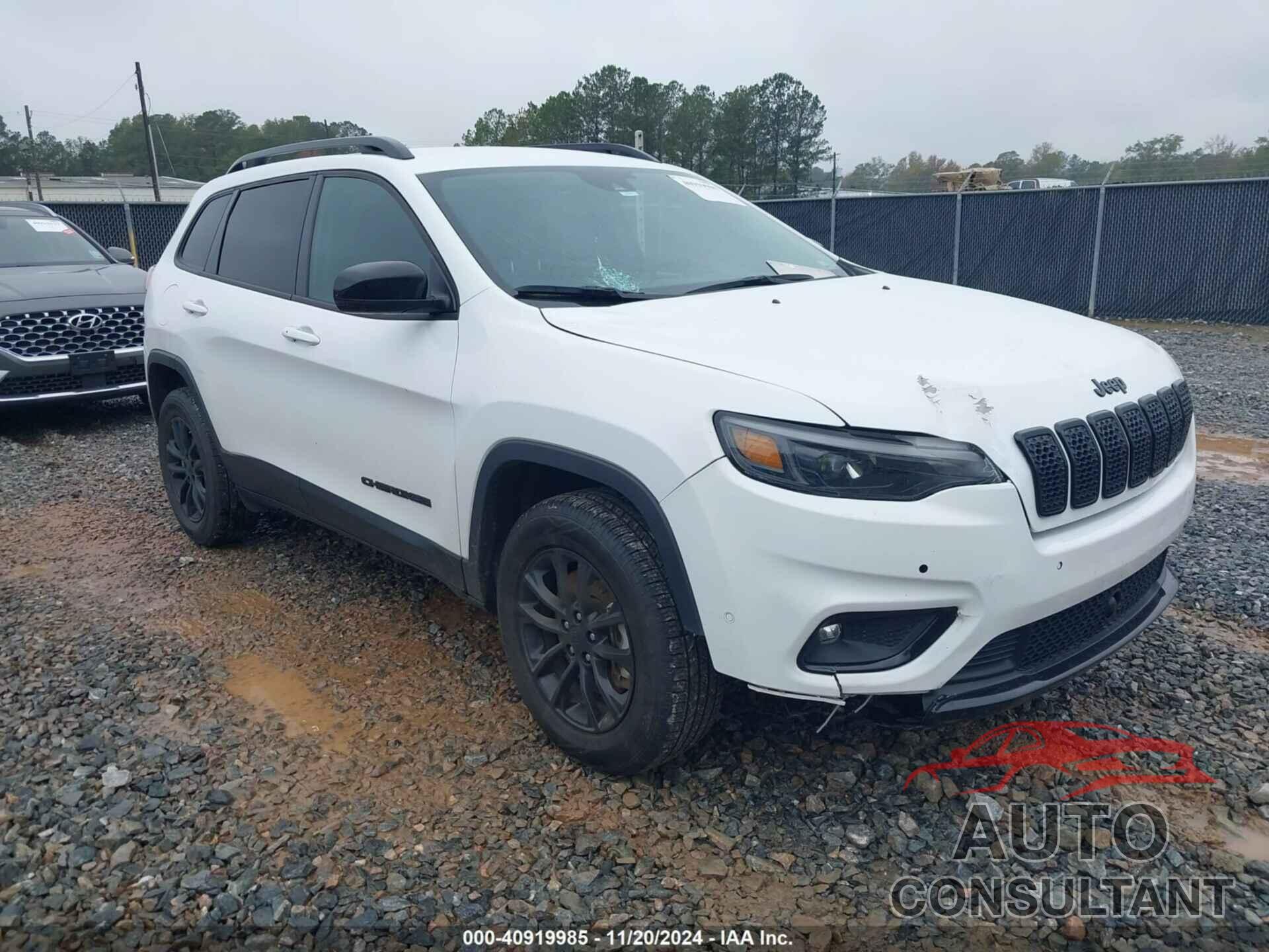 JEEP CHEROKEE 2023 - 1C4PJMMB5PD109653
