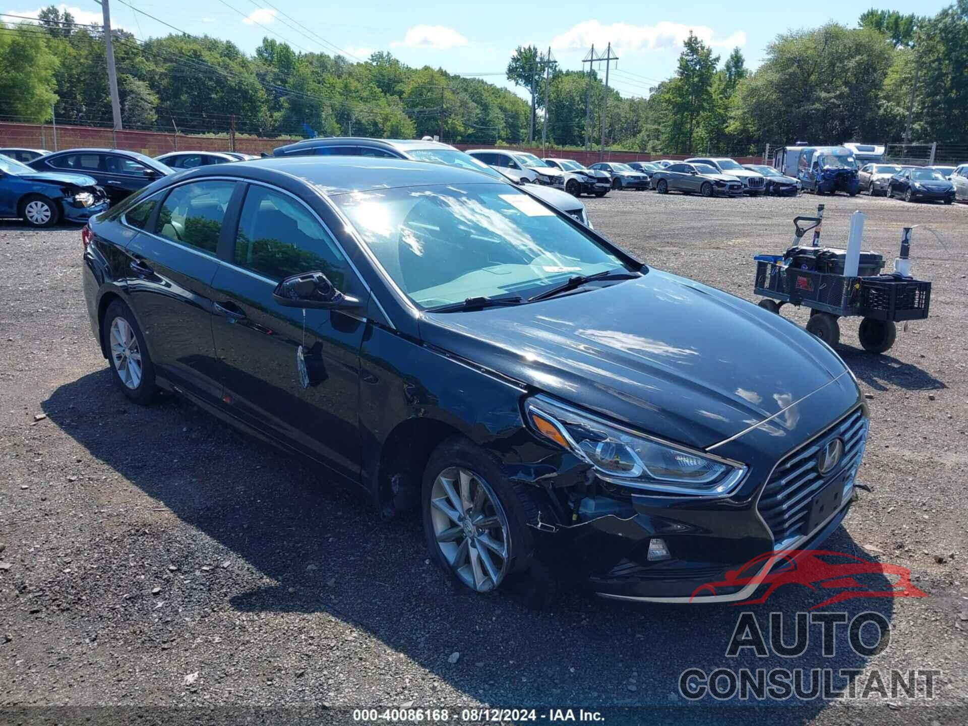 HYUNDAI SONATA 2019 - 5NPE24AF6KH810376