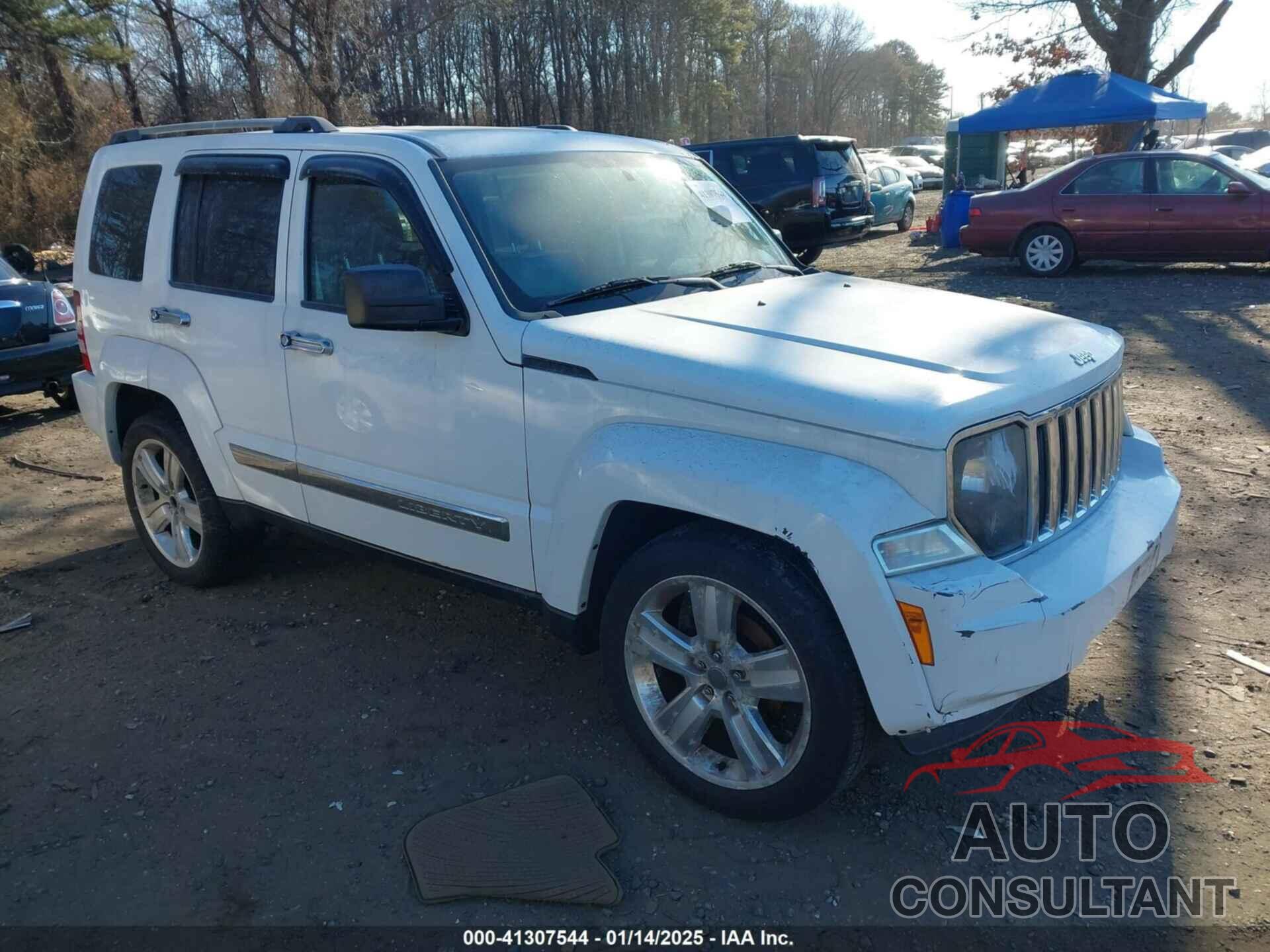 JEEP LIBERTY 2012 - 1C4PJMFK9CW198946
