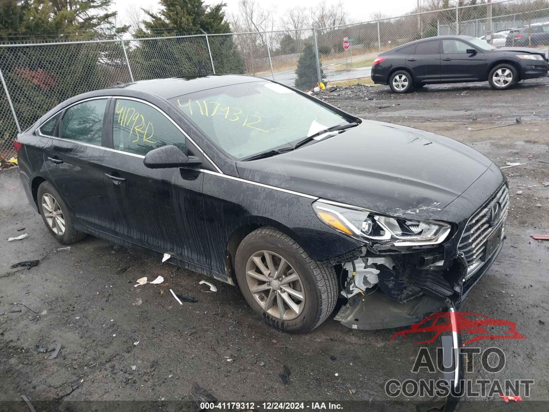 HYUNDAI SONATA 2019 - 5NPE24AF8KH735664