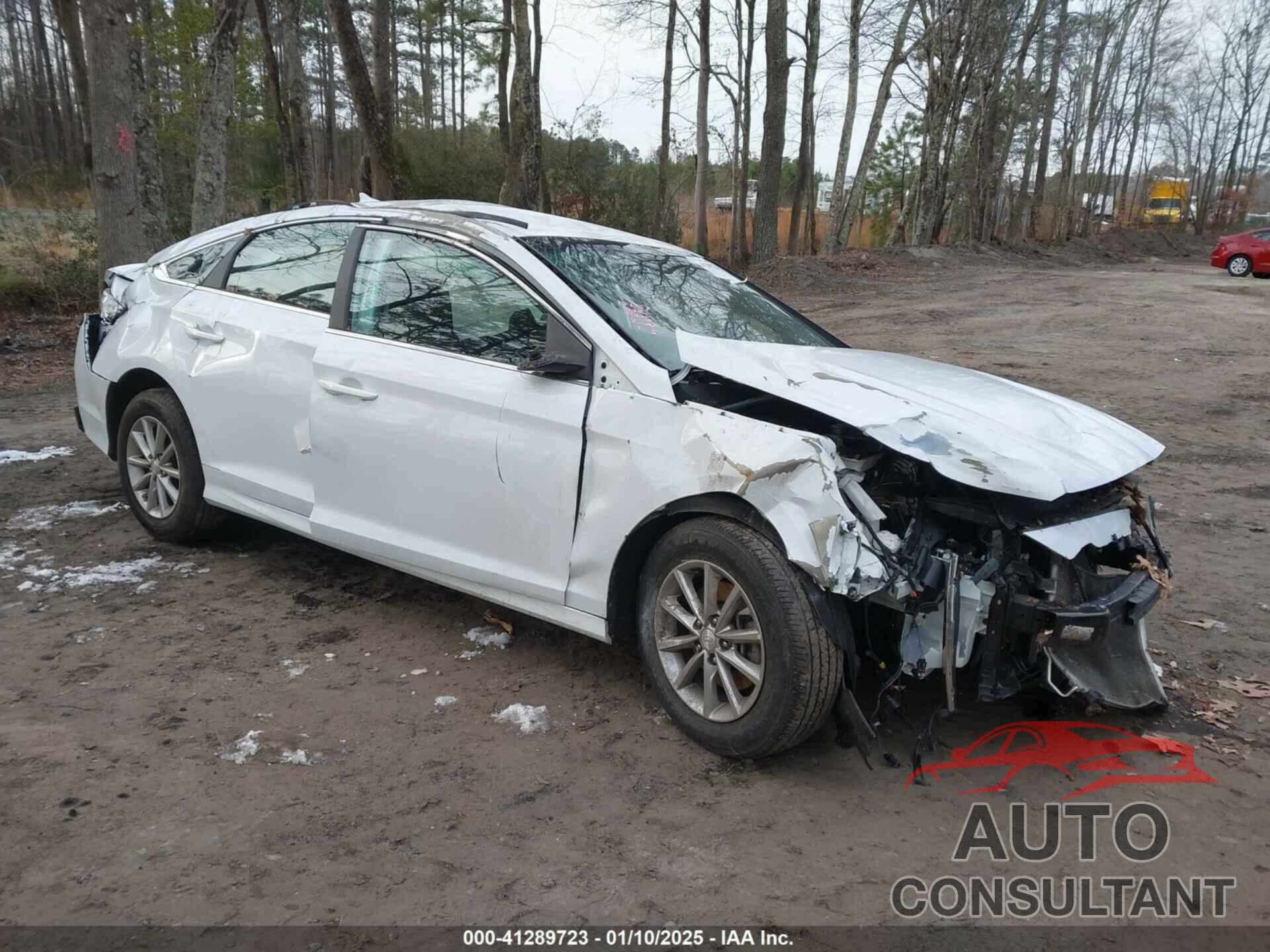 HYUNDAI SONATA 2019 - 5NPE24AF4KH781489