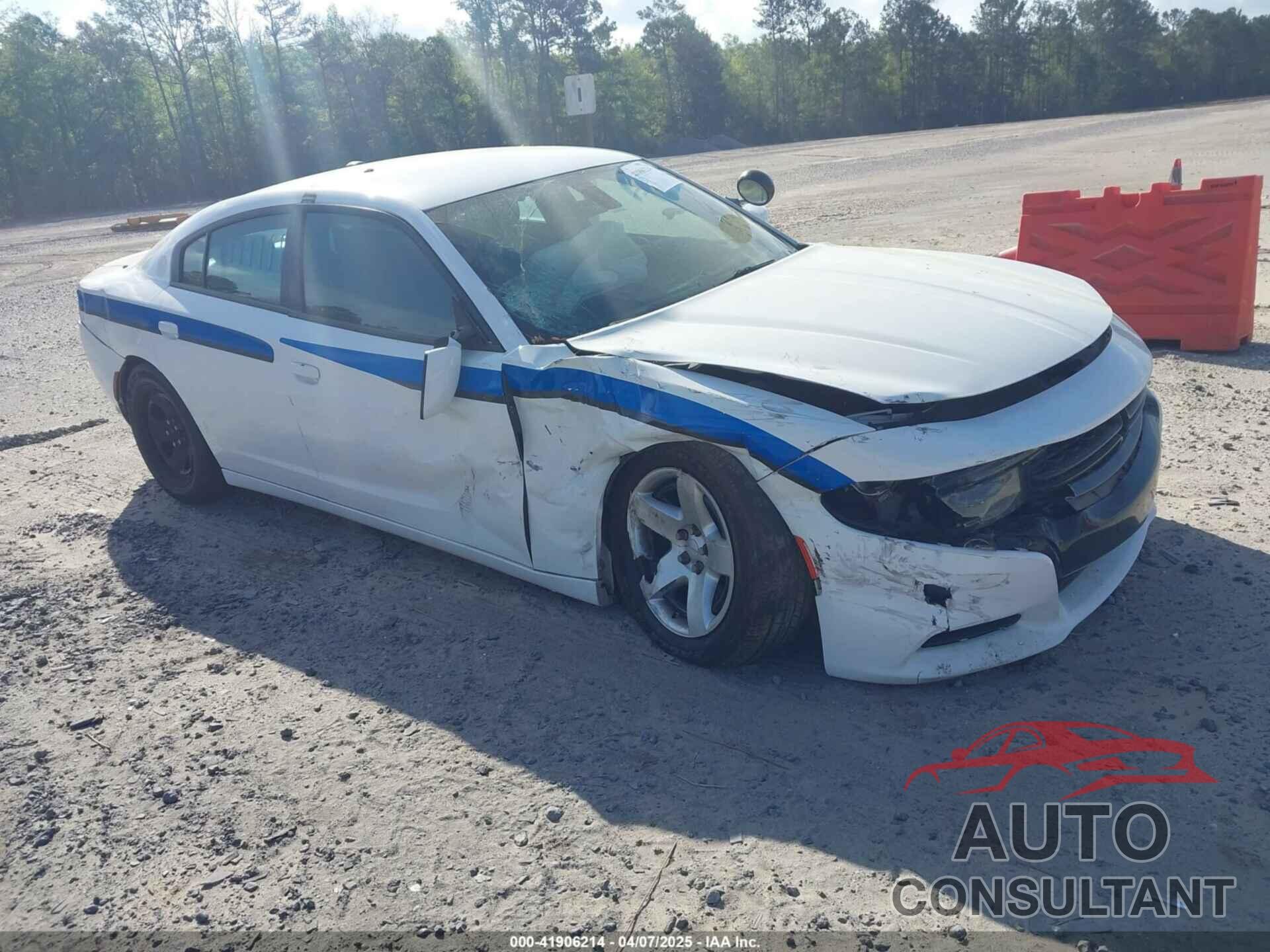 DODGE CHARGER 2019 - 2C3CDXAT3KH599711