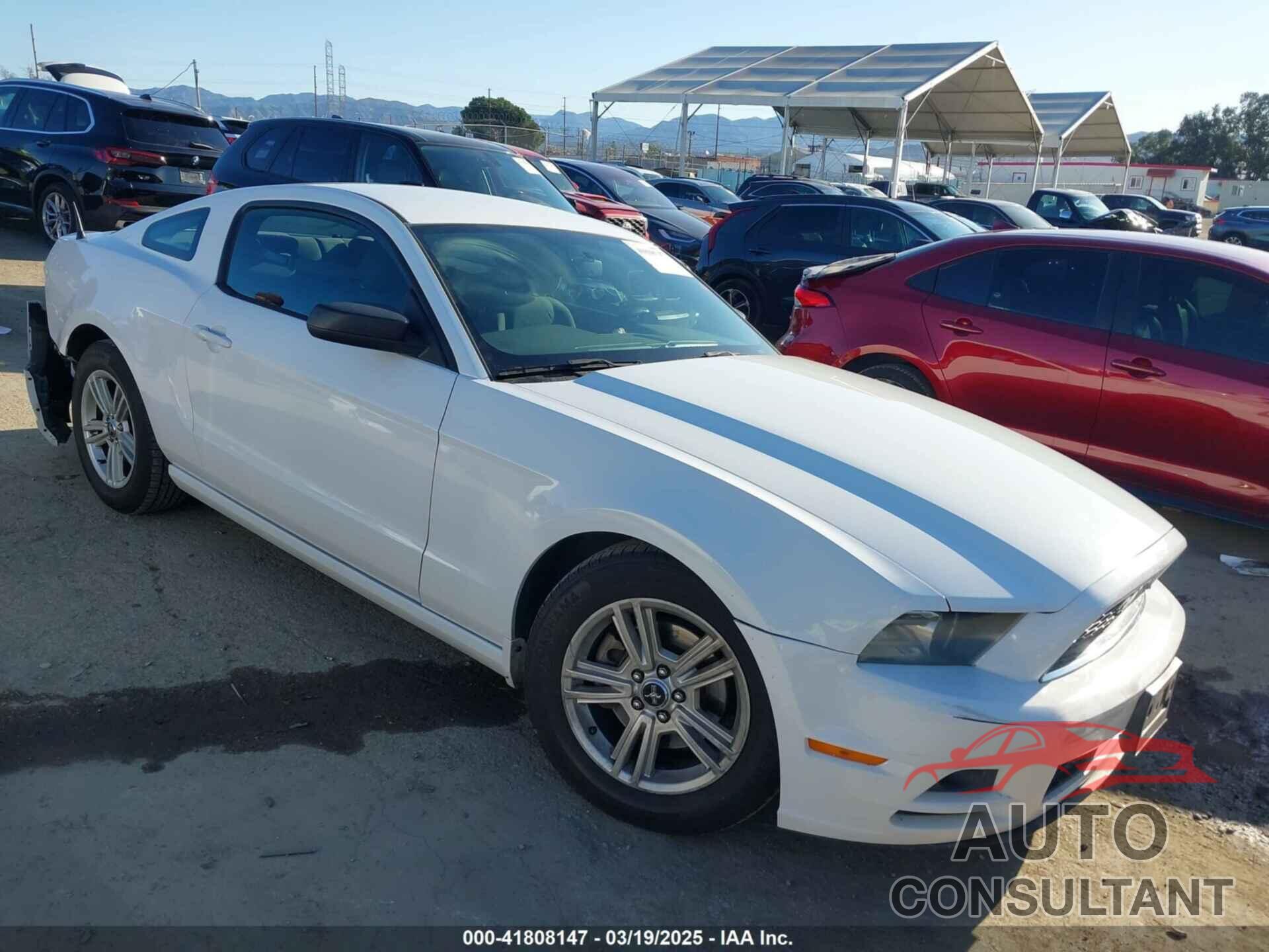 FORD MUSTANG 2014 - 1ZVBP8AM6E5334710