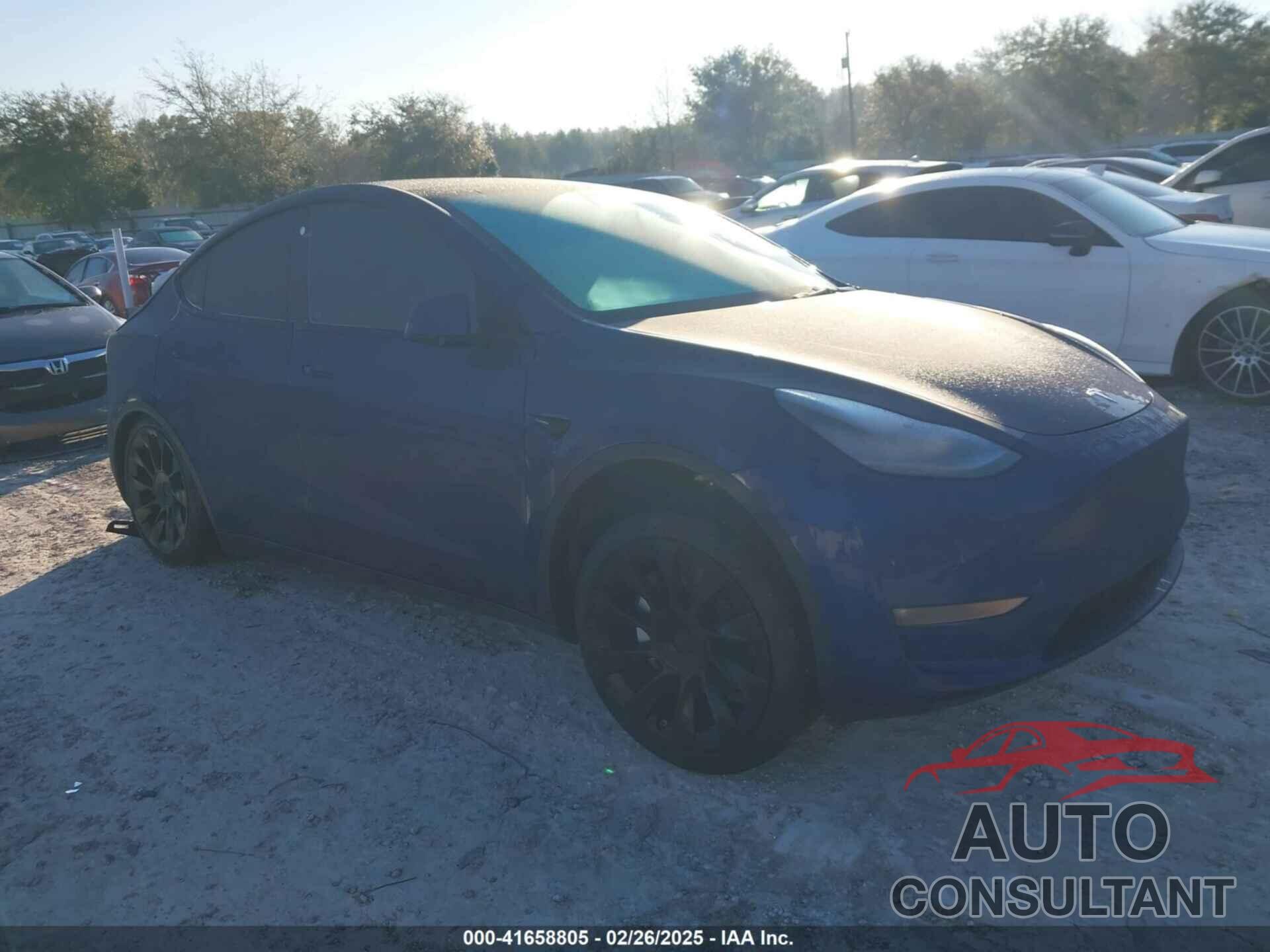 TESLA MODEL Y 2021 - 5YJYGDEE8MF177252