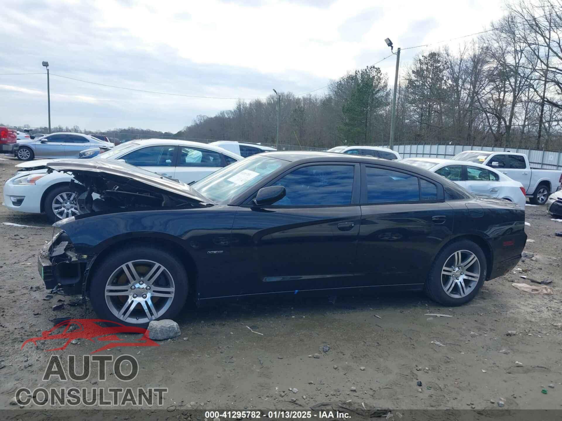 DODGE CHARGER 2014 - 2C3CDXCT0EH184587