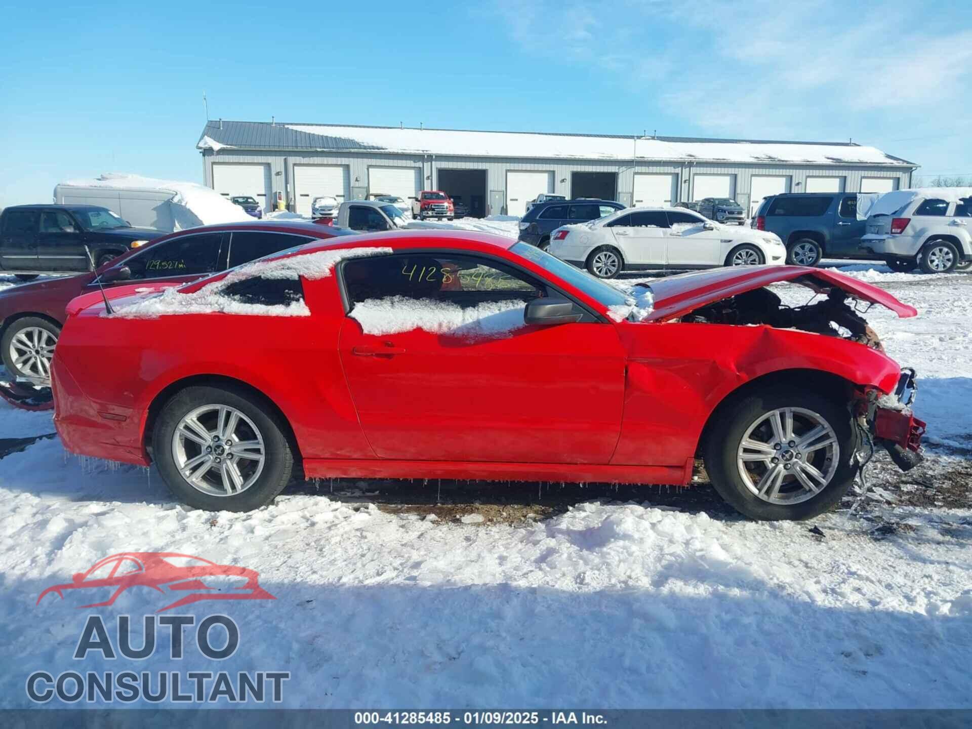 FORD MUSTANG 2014 - 1ZVBP8AM4E5245010
