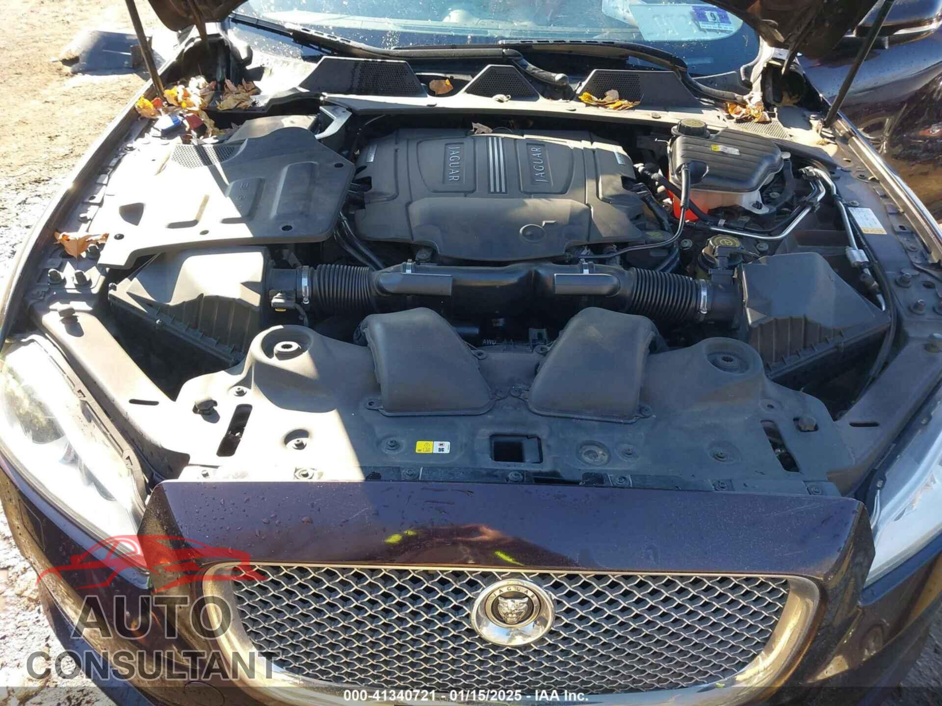 JAGUAR XJ 2013 - SAJWJ1CD2D8V51132