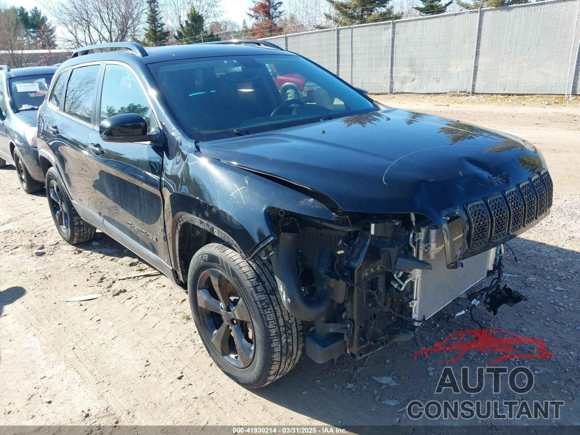 JEEP CHEROKEE 2019 - 1C4PJMLX4KD294557