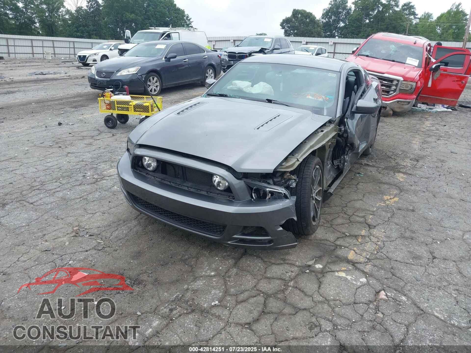 FORD MUSTANG 2013 - 1ZVBP8CF2D5274986