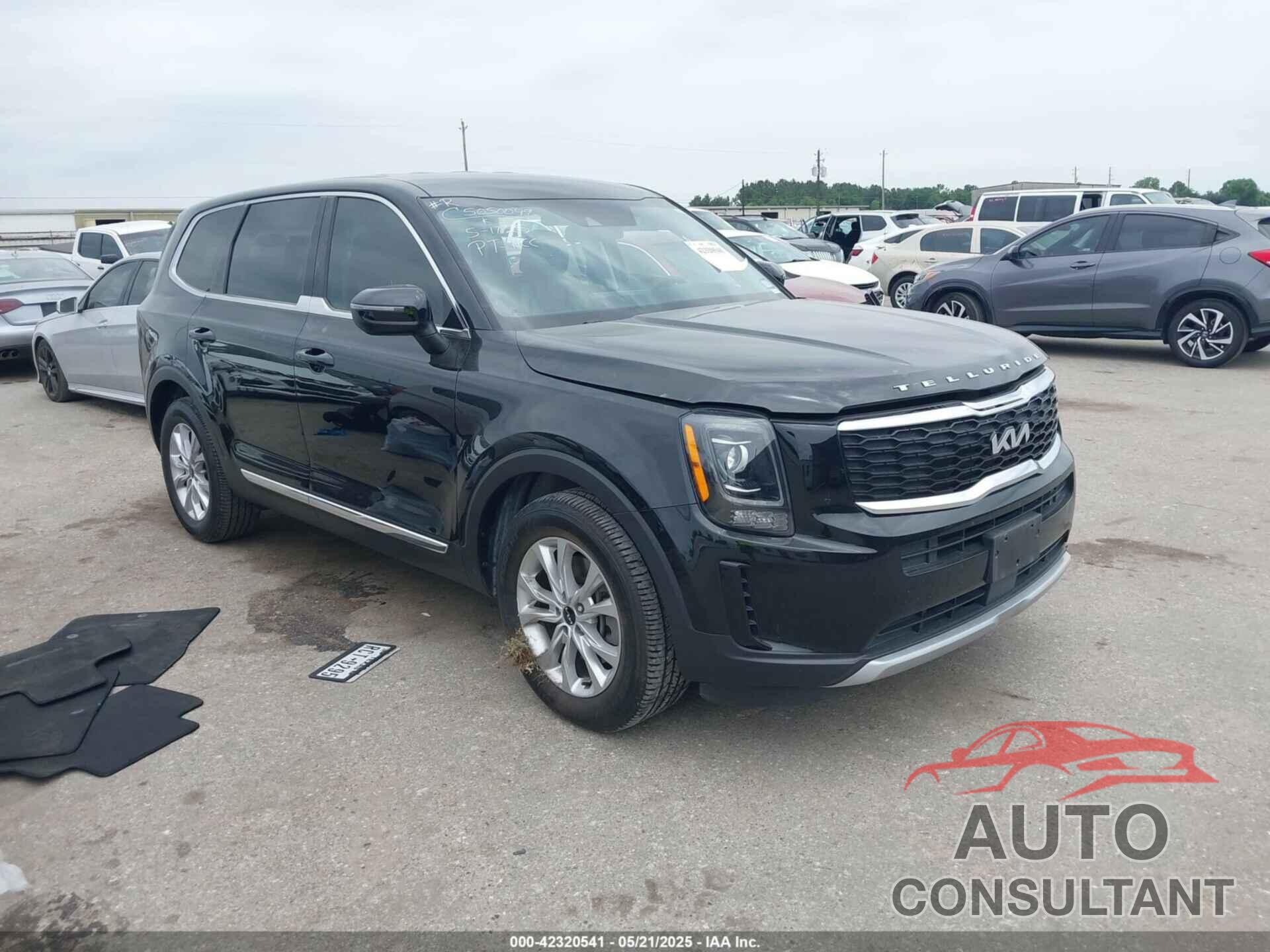 KIA TELLURIDE 2022 - 5XYP24HC6NG242341