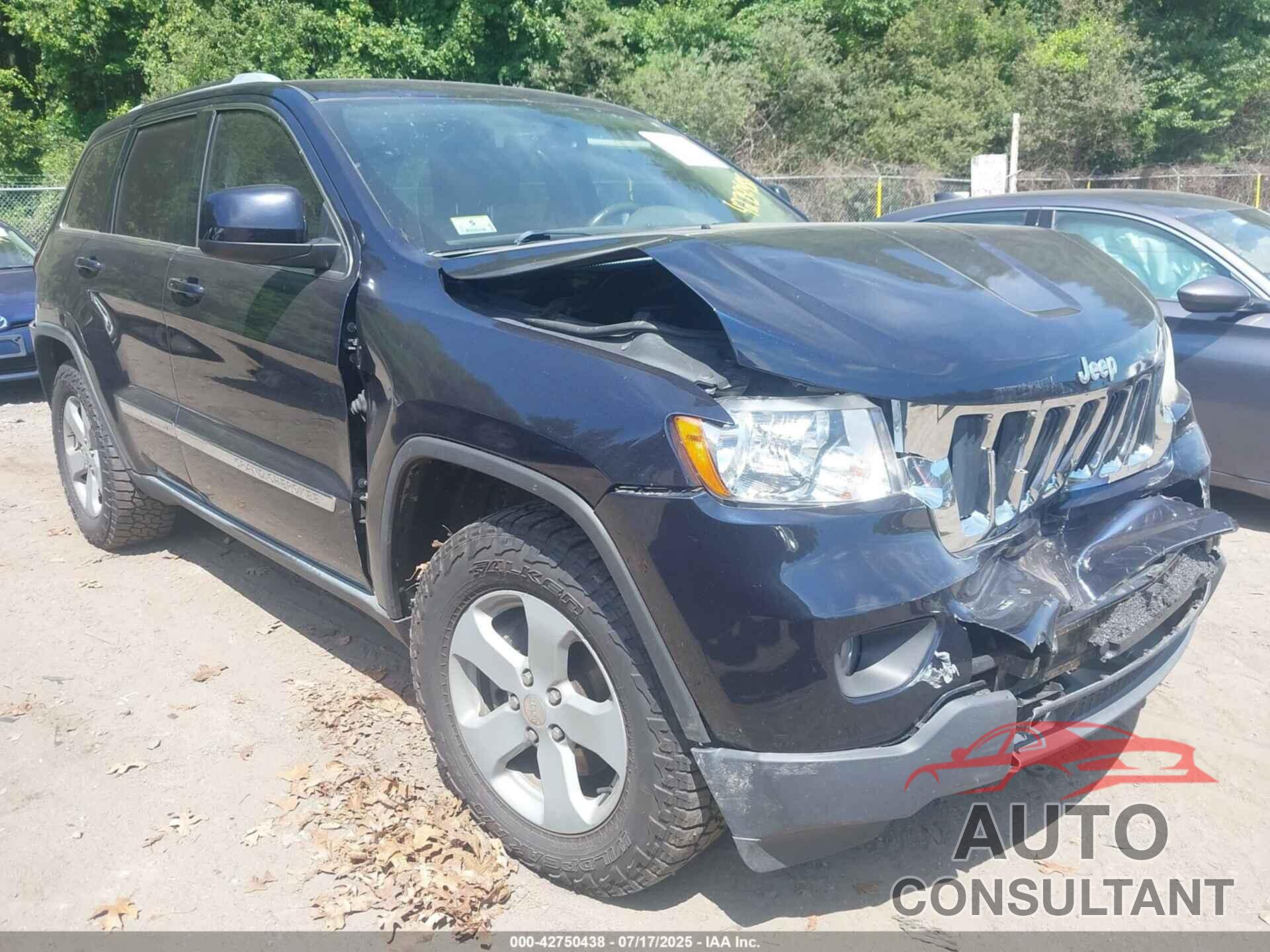 JEEP GRAND CHEROKEE 2011 - 1J4RR4GG4BC550076