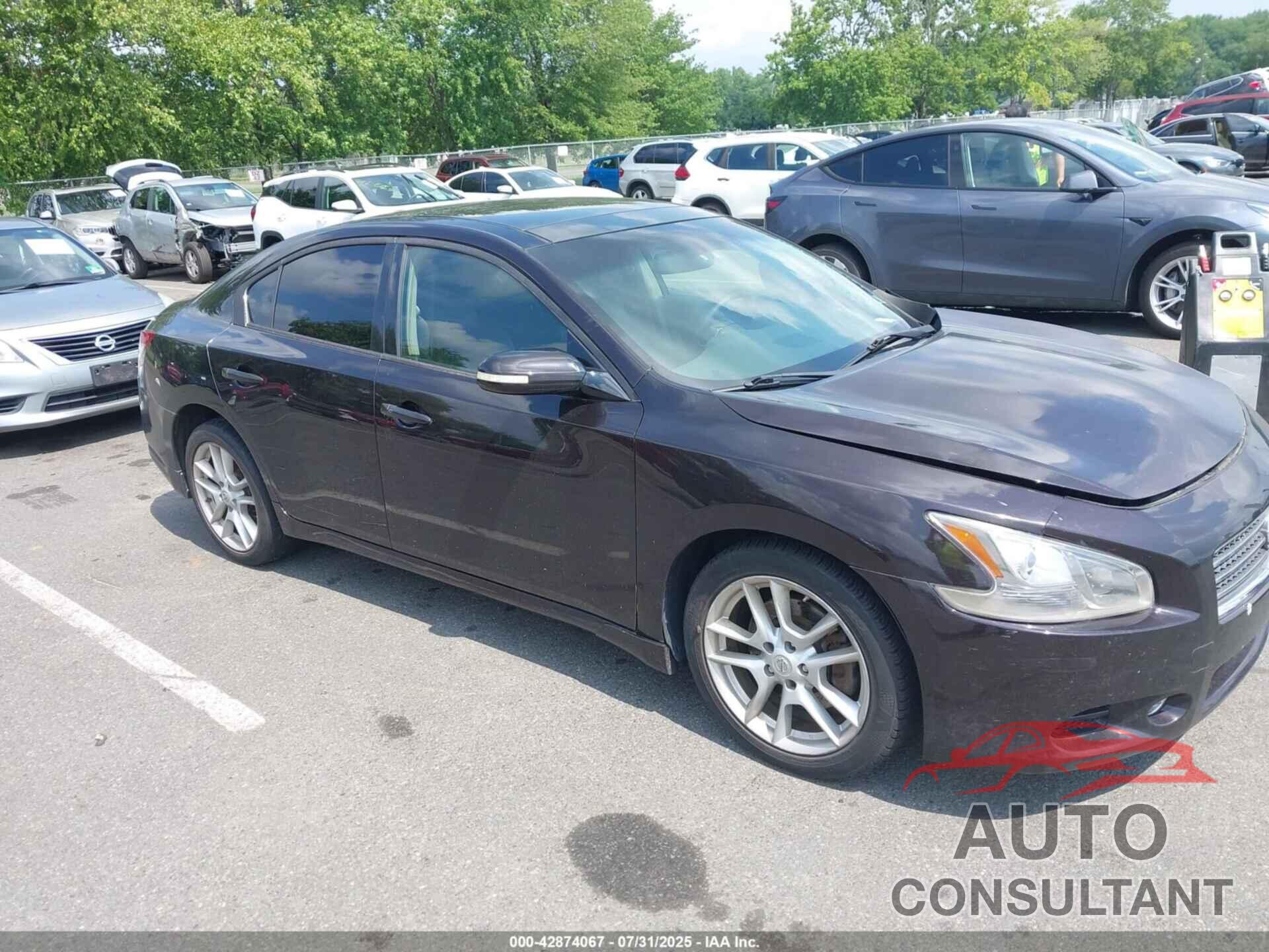 NISSAN MAXIMA 2010 - 1N4AA5AP8AC815692
