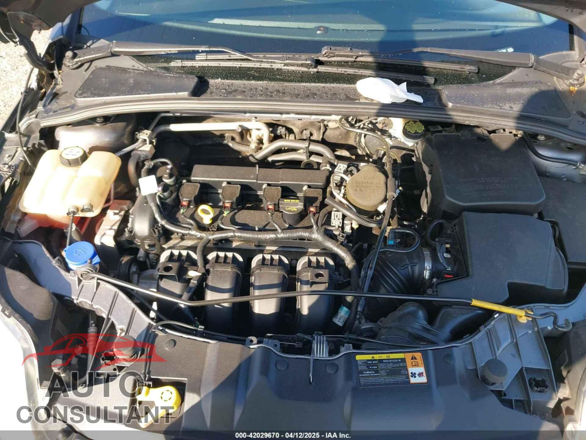 FORD FOCUS 2013 - 1FADP3E24DL317766