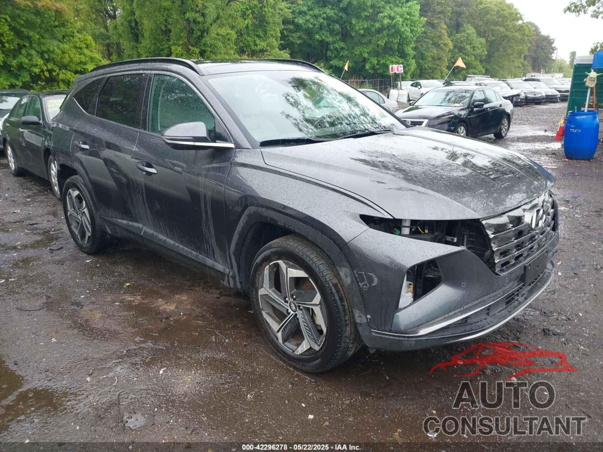 HYUNDAI TUCSON 2023 - 5NMJECAE8PH280116