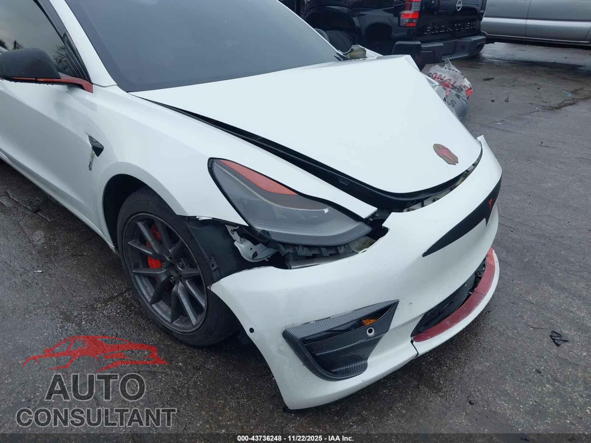 TESLA MODEL 3 2021 - 5YJ3E1EB2MF981504