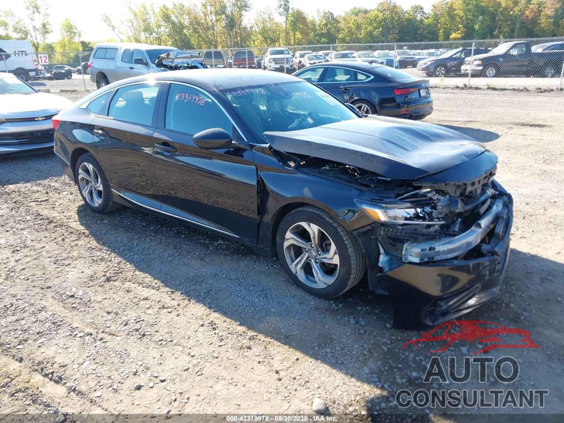 HONDA ACCORD 2019 - 1HGCV1F49KA022835