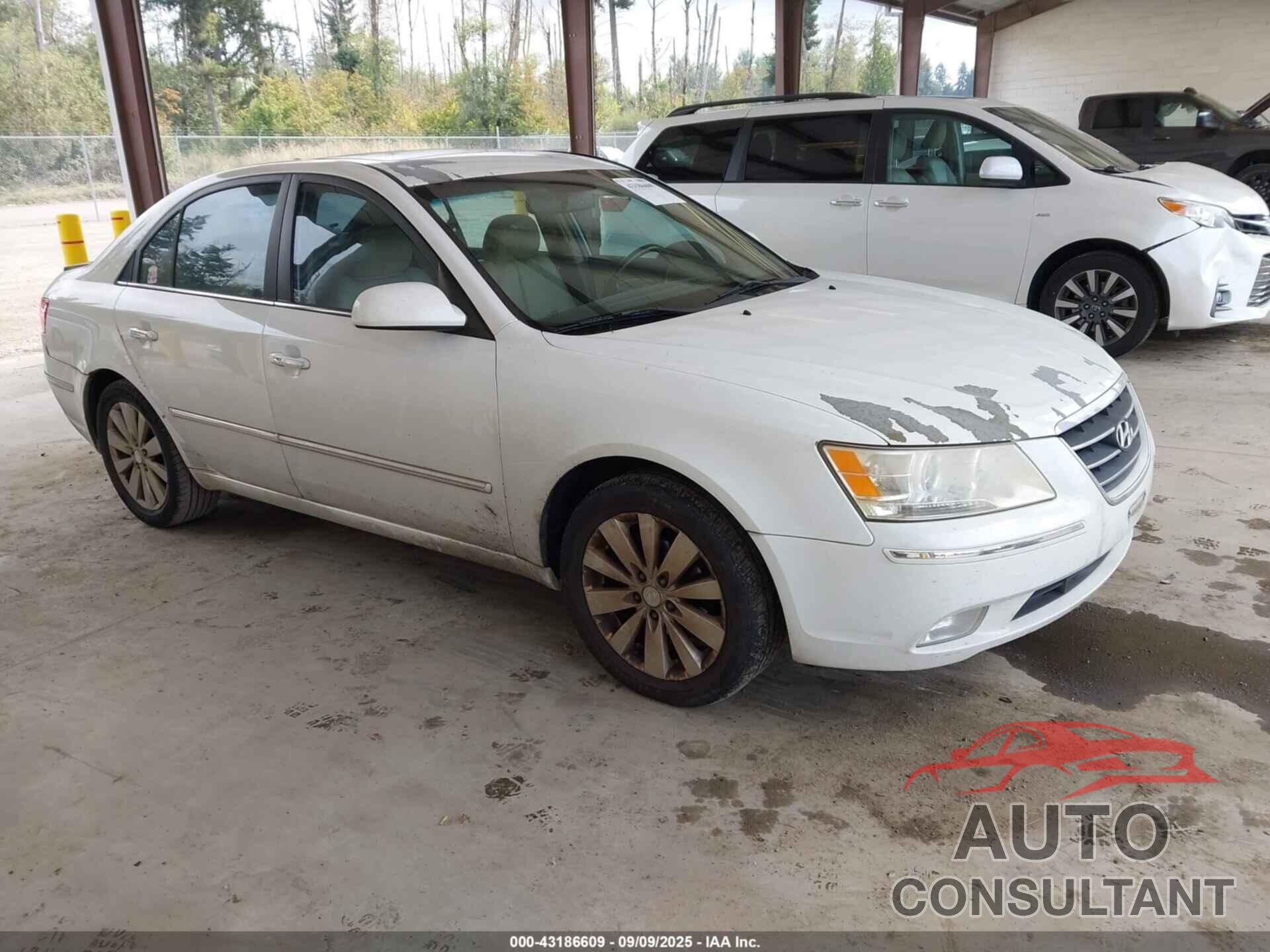HYUNDAI SONATA 2009 - 5NPEU46C89H500815