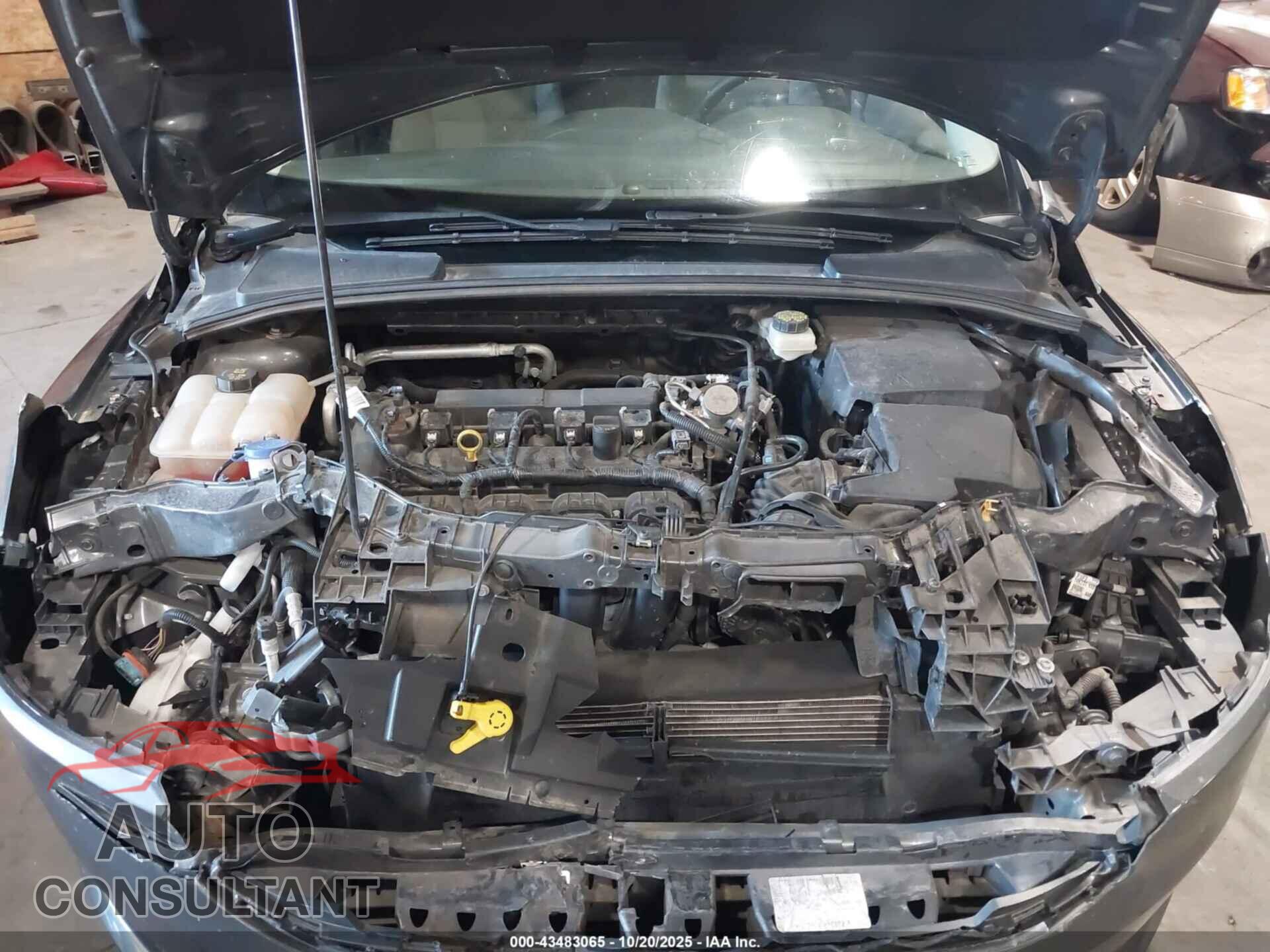 FORD FOCUS 2017 - 1FADP3K20HL282329