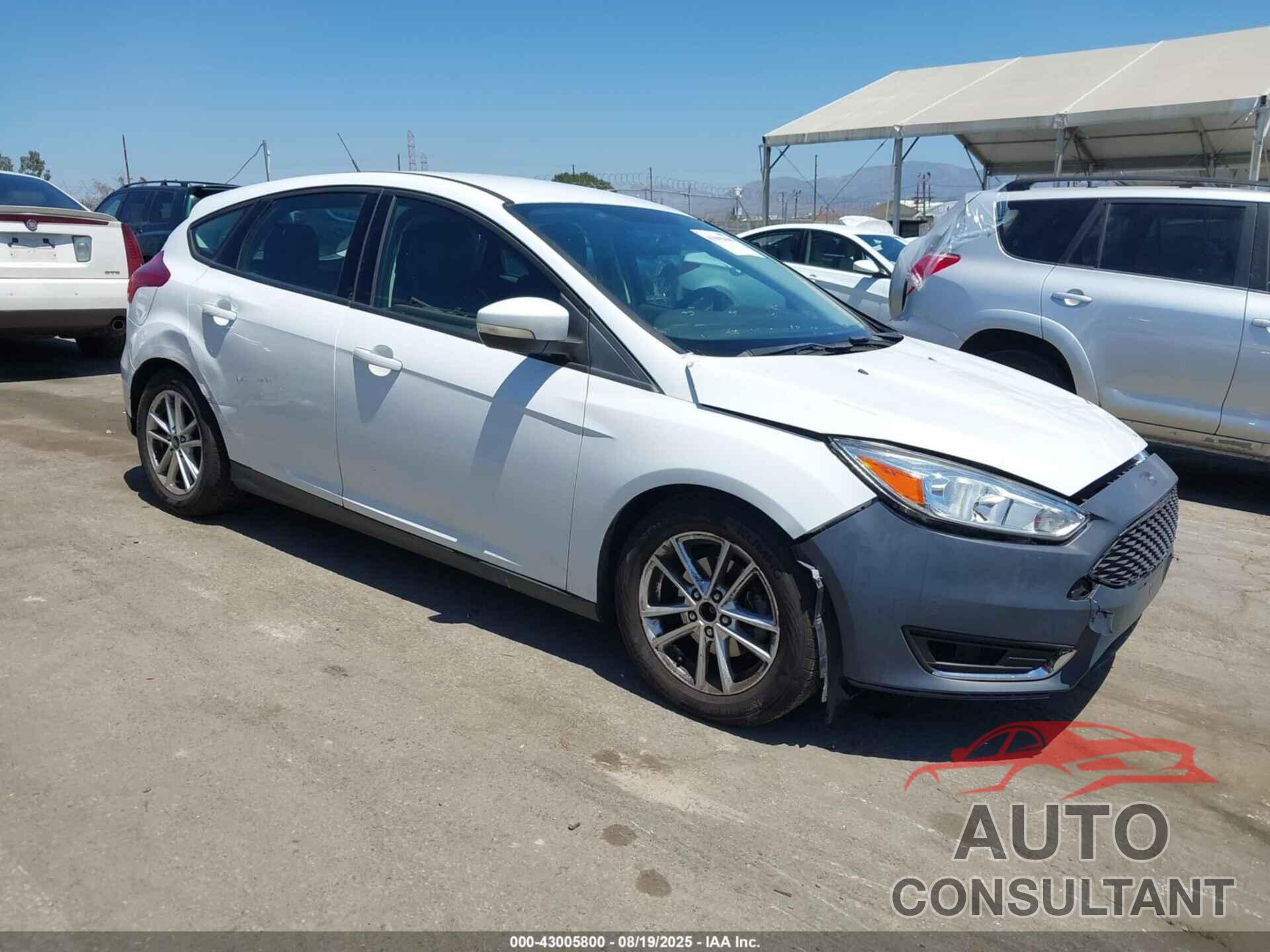 FORD FOCUS 2016 - 1FADP3K21GL294892