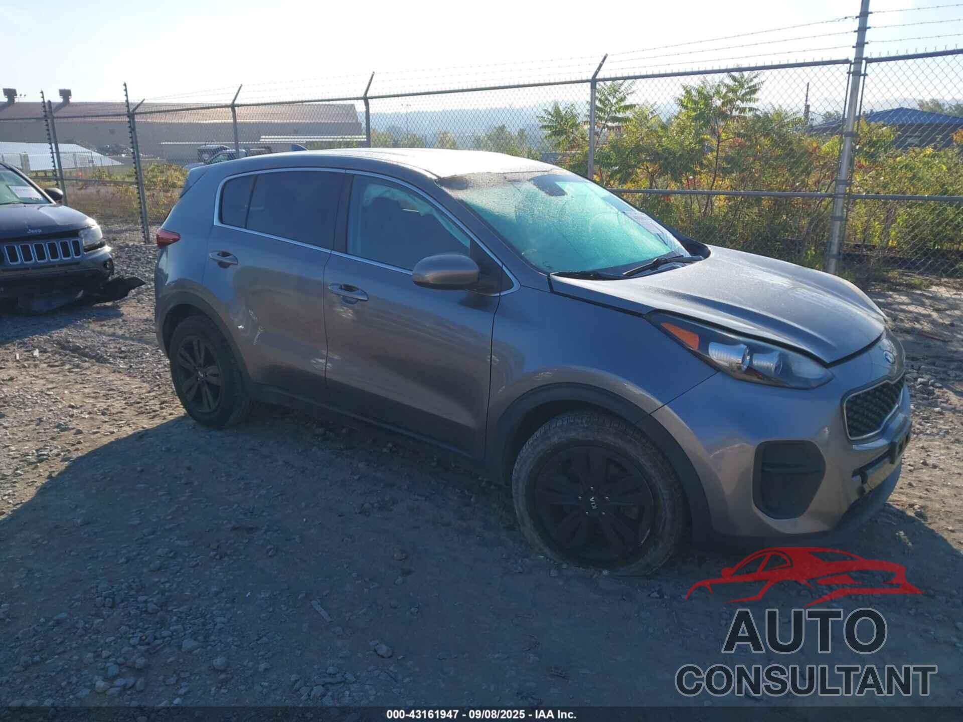 KIA SPORTAGE 2017 - KNDPM3AC6H7137167