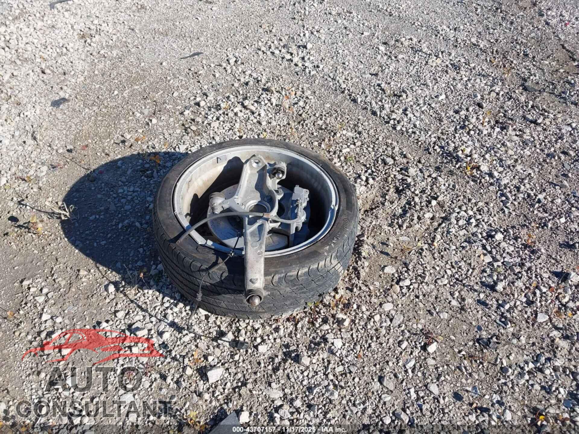 TESLA MODEL 3 2019 - 5YJ3E1EA1KF436253