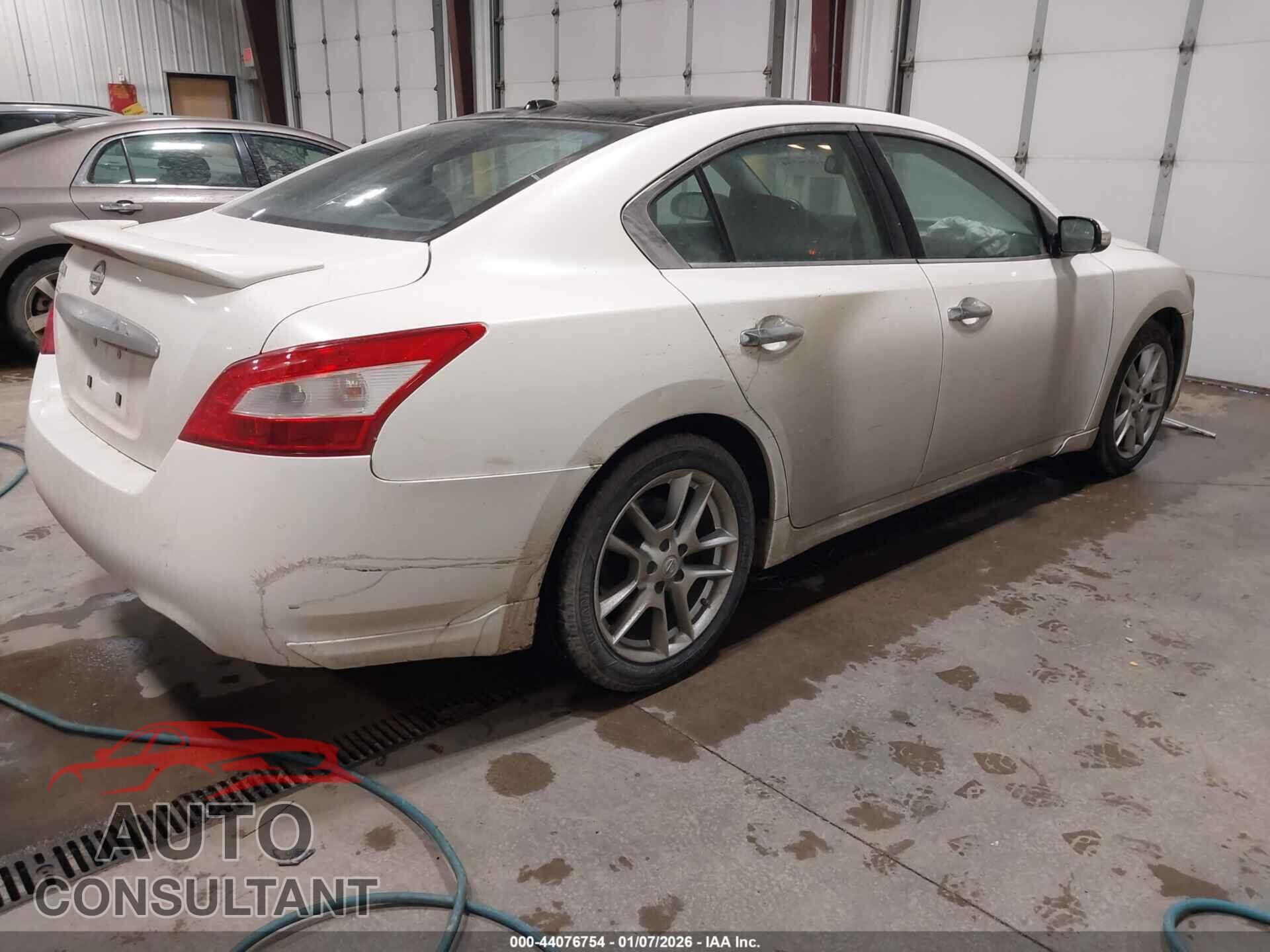 NISSAN MAXIMA 2011 - 1N4AA5AP6BC856484