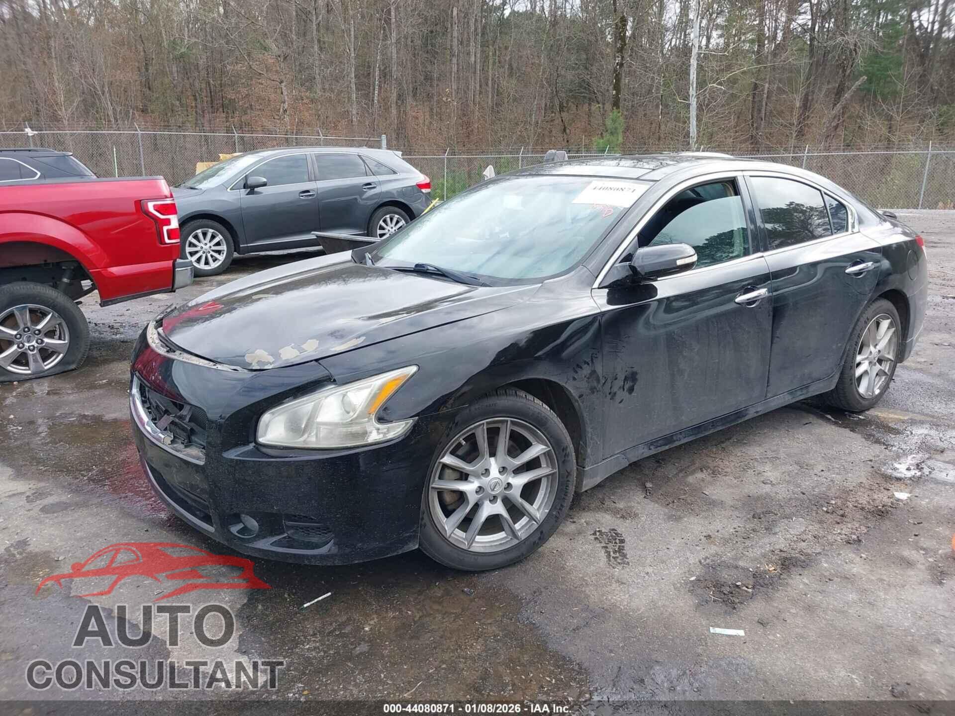 NISSAN MAXIMA 2011 - 1N4AA5AP2BC805189