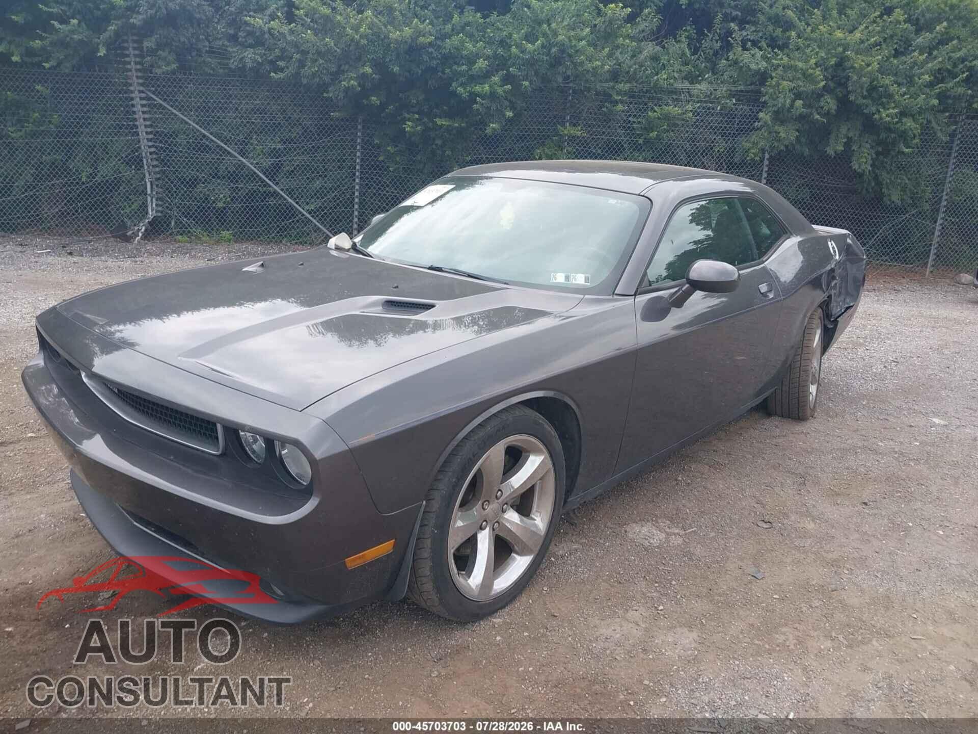 DODGE CHALLENGER 2013 - 2C3CDYAG4DH723819