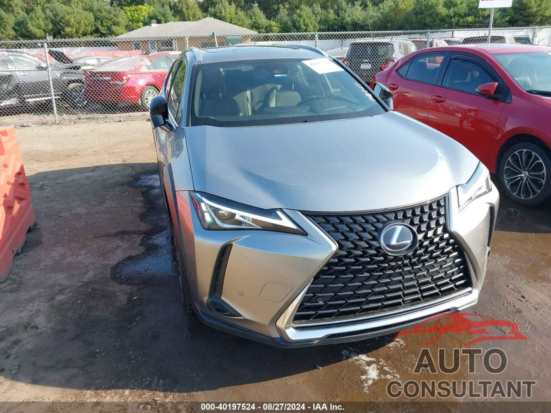 LEXUS UX 250H 2019 - JTHU9JBH6K2003524