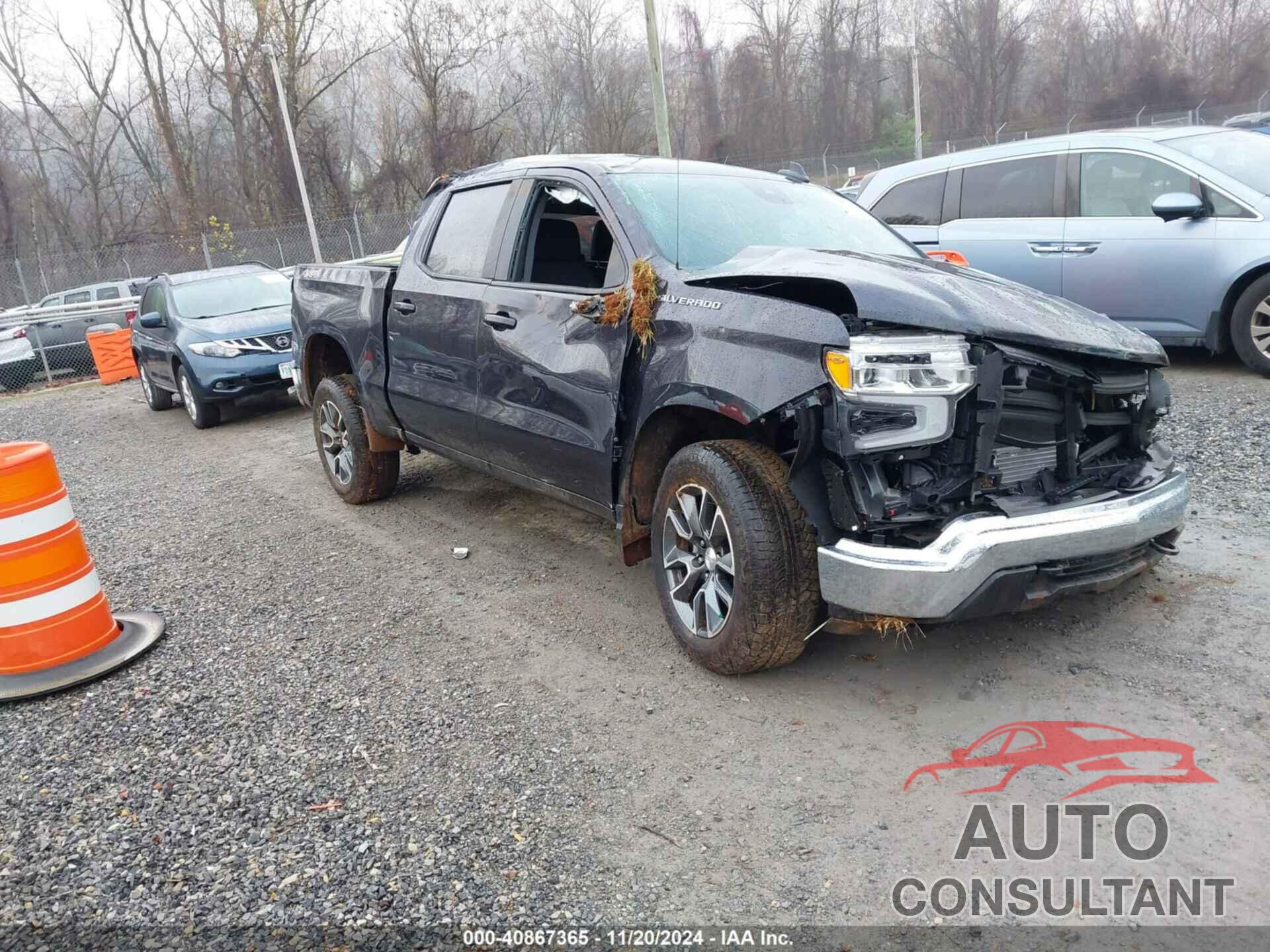 CHEVROLET SILVERADO 1500 2024 - 3GCPDKEK8RG141061