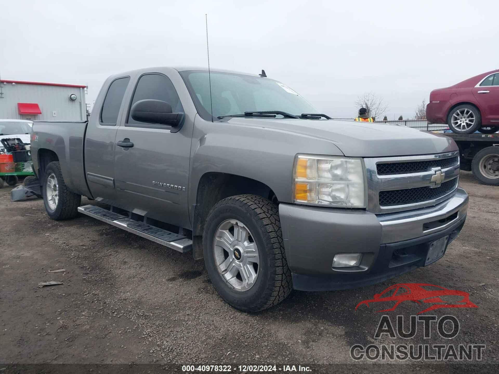 CHEVROLET SILVERADO 1500 2009 - 1GCEK290X9Z131105