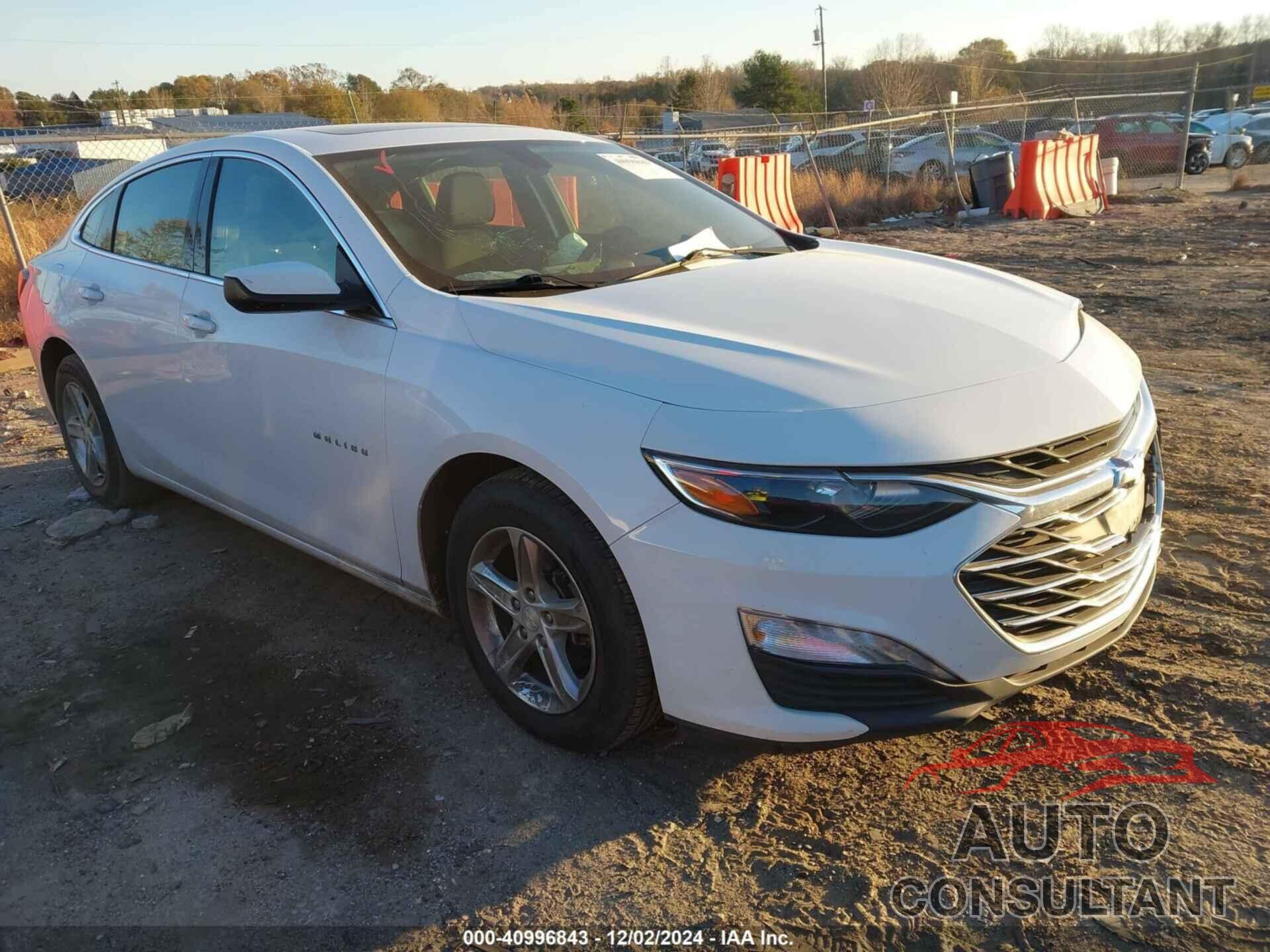 CHEVROLET MALIBU 2019 - 1G1ZD5ST9KF105144