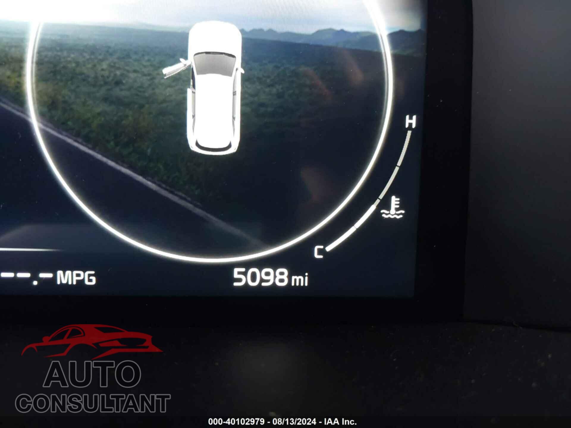 KIA SORENTO 2023 - 5XYRKDLFXPG241402