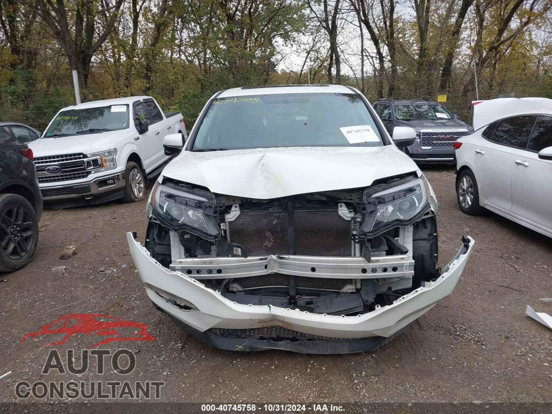 HONDA PILOT 2017 - 5FNYF6H55HB085824