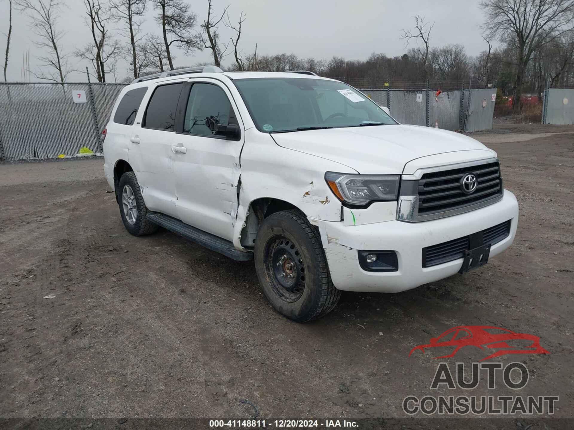 TOYOTA SEQUOIA 2019 - 5TDBY5G10KS173577