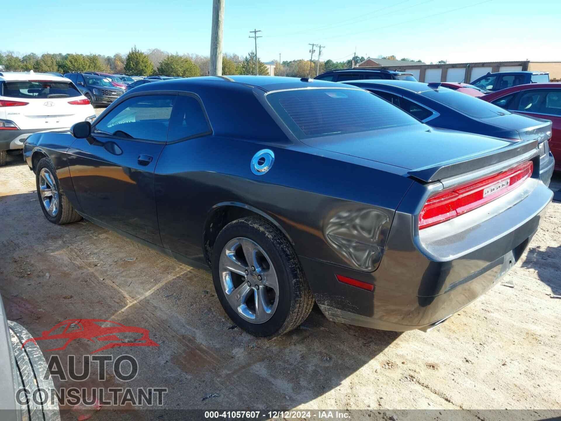 DODGE CHALLENGER 2014 - 2C3CDYAG8EH307533