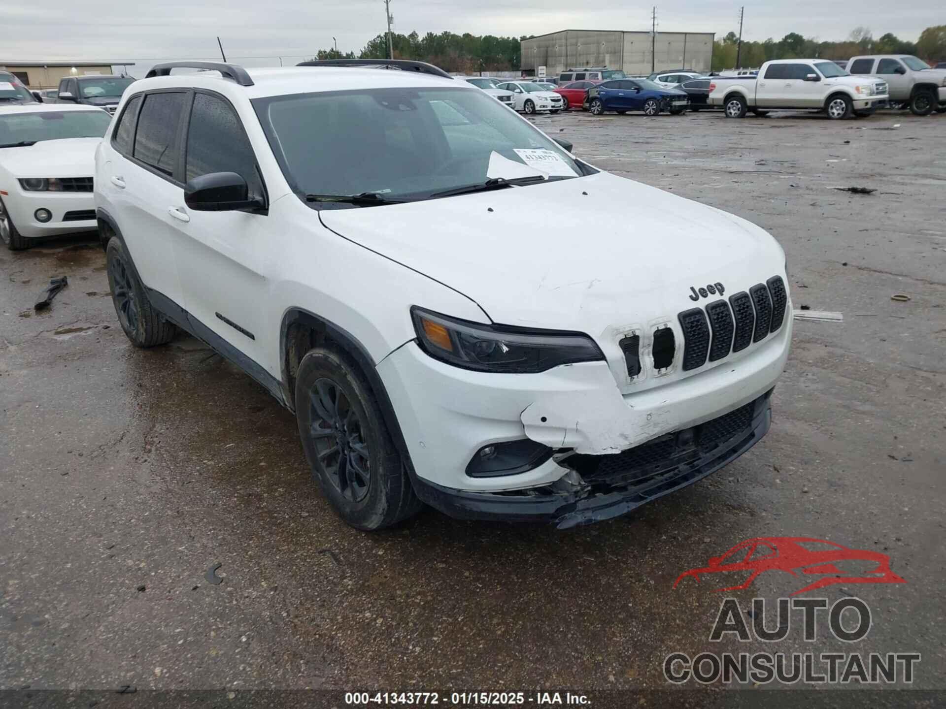 JEEP CHEROKEE 2023 - 1C4PJMMB1PD110251