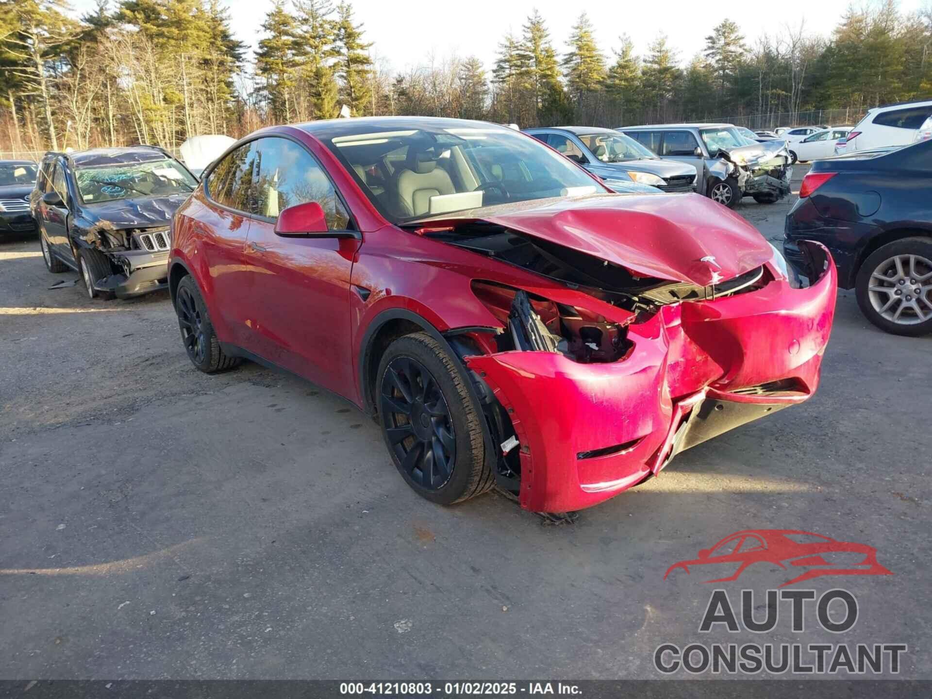 TESLA MODEL Y 2024 - 7SAYGDEE8RA254256