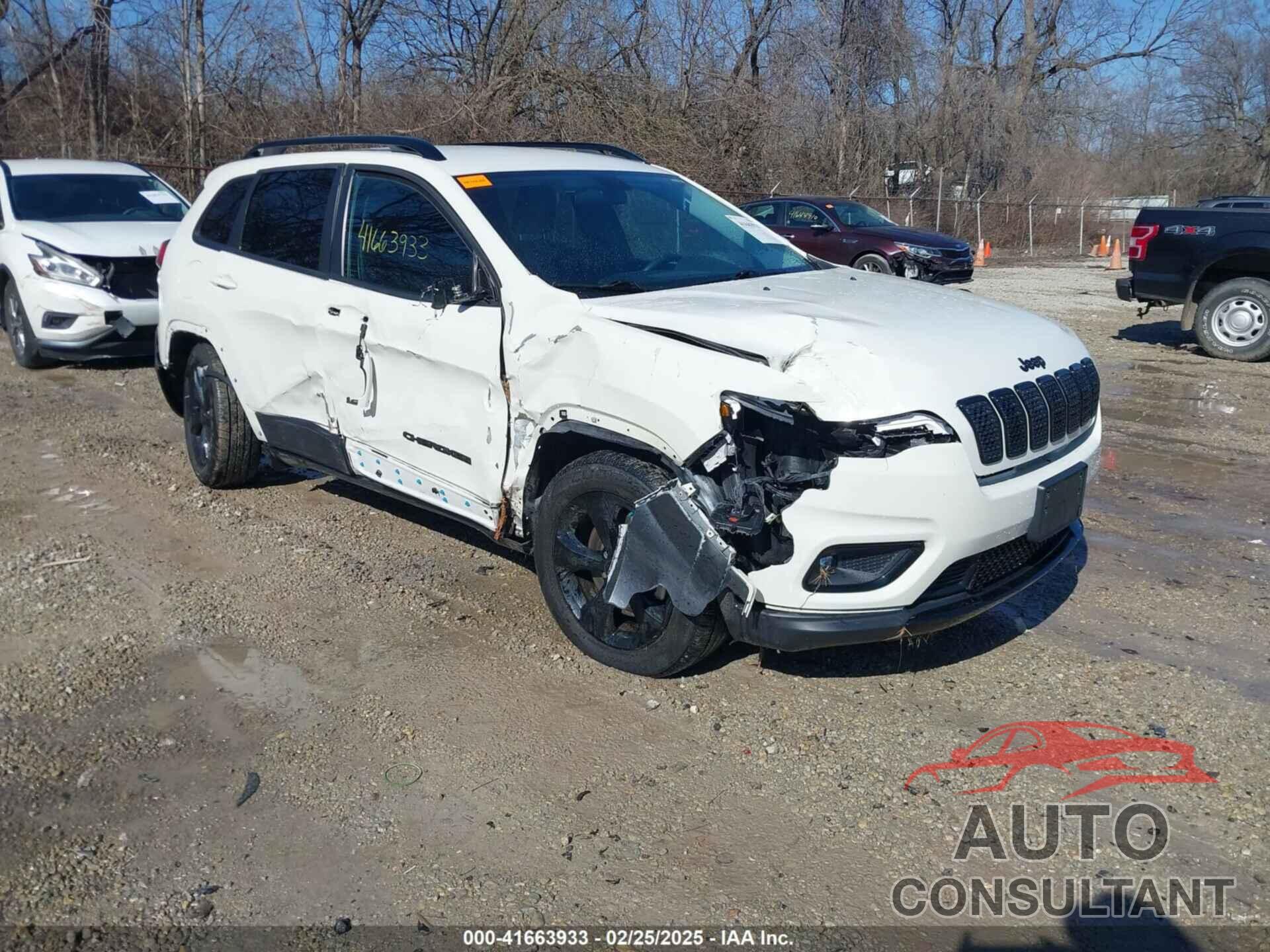 JEEP CHEROKEE 2019 - 1C4PJMLX0KD430182
