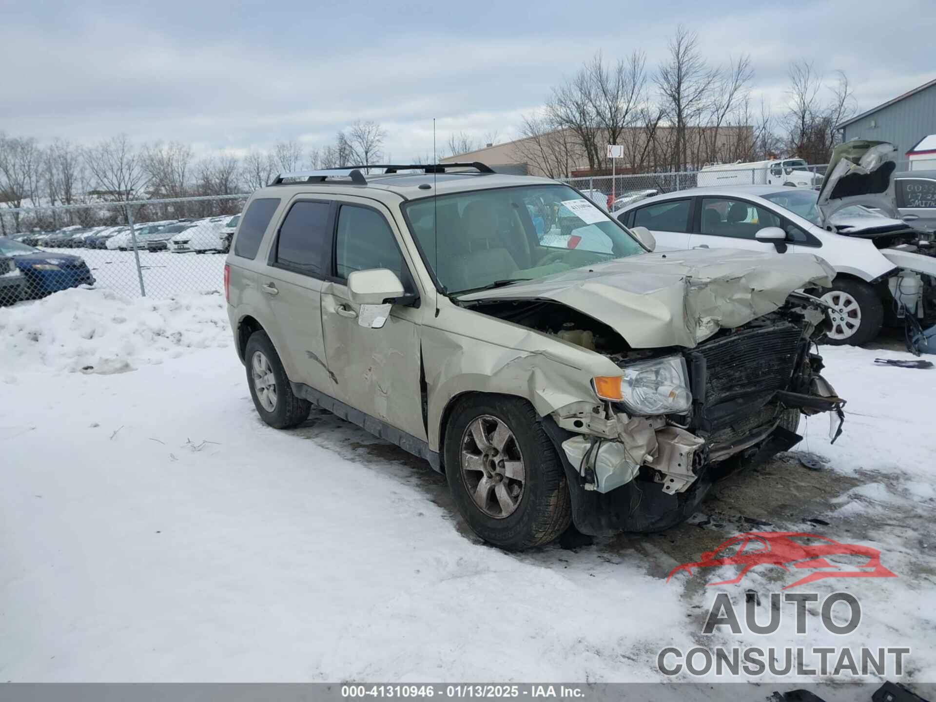 FORD ESCAPE 2010 - 1FMCU9EG0AKB10303