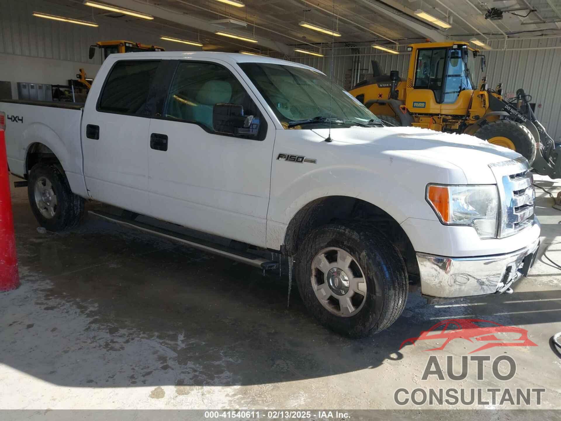 FORD F-150 2010 - 1FTEW1E83AFC09949