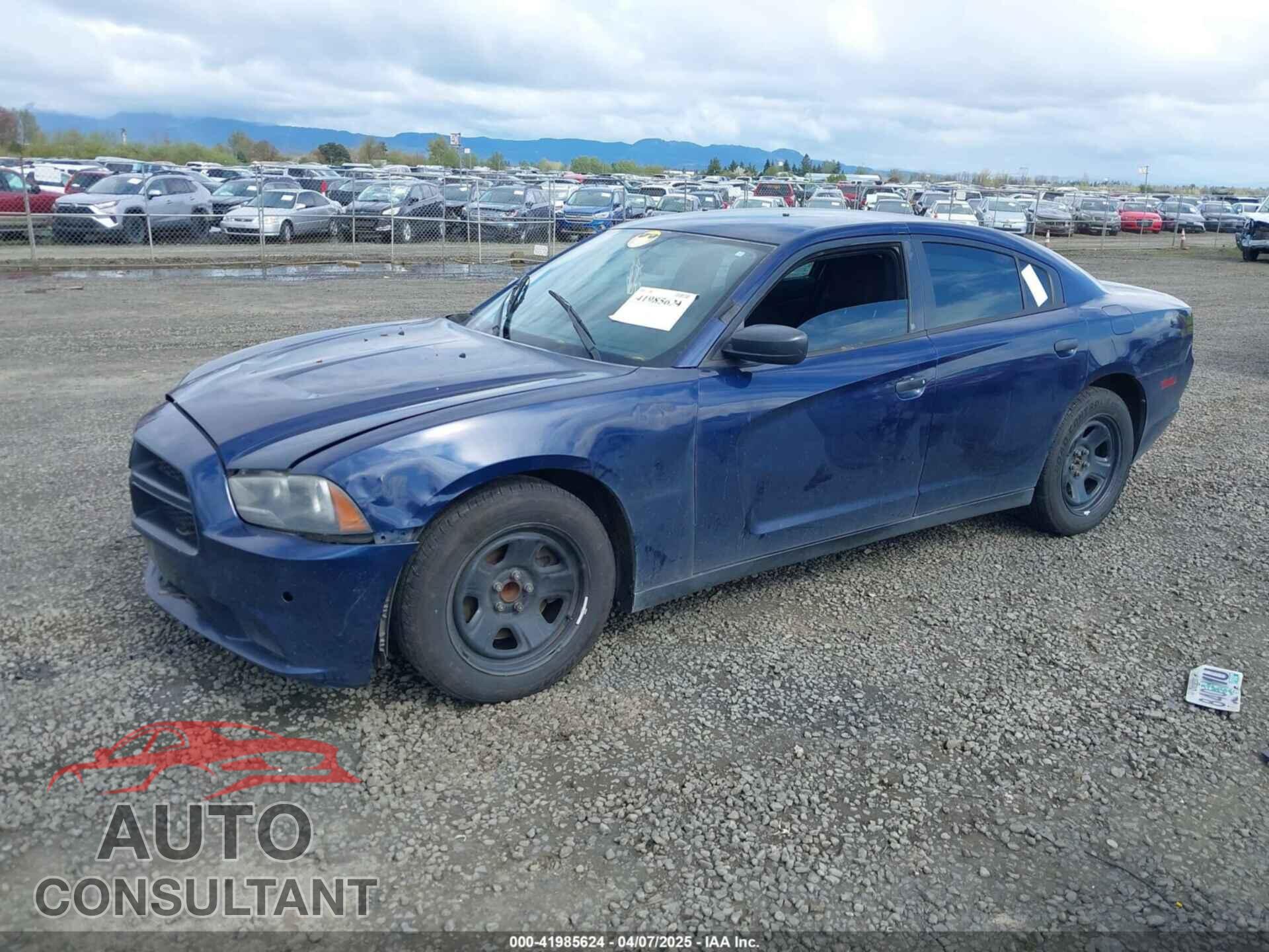 DODGE CHARGER 2013 - 2C3CDXAT4DH568020