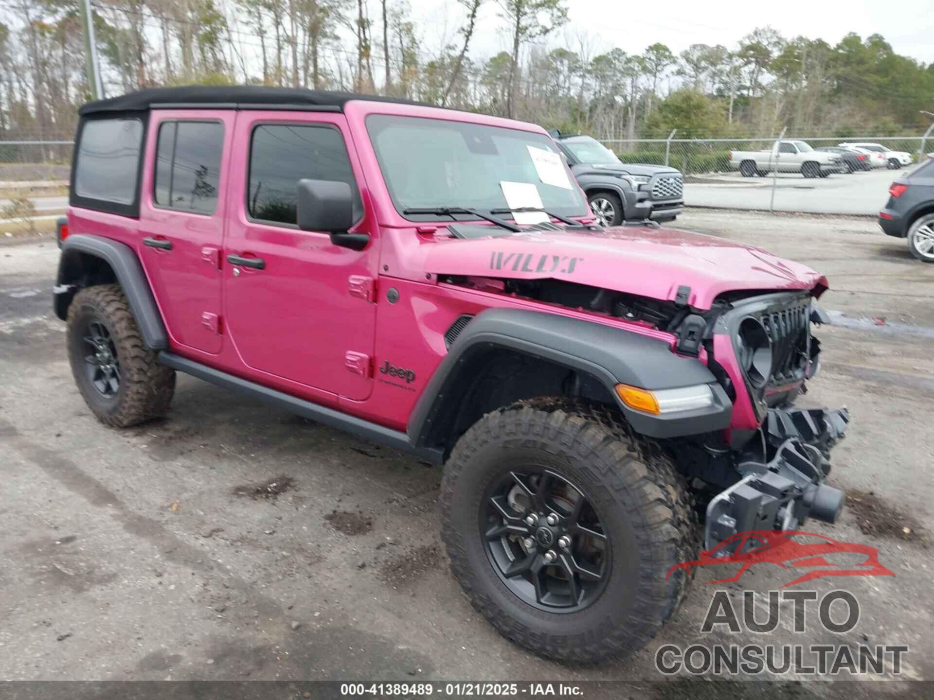 JEEP WRANGLER 2024 - 1C4PJXDG6RW320025