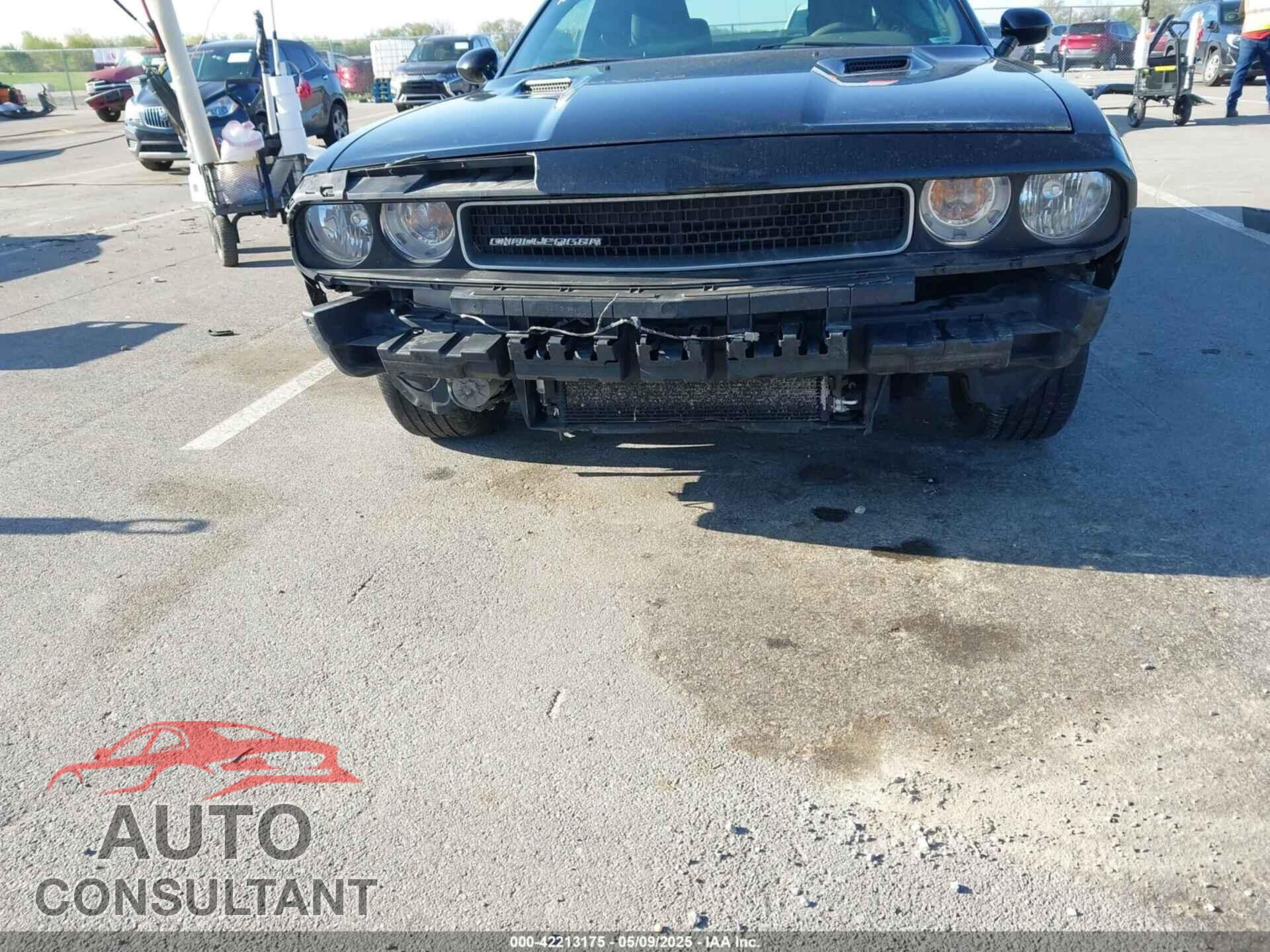 DODGE CHALLENGER 2014 - 2C3CDYAG7EH183996