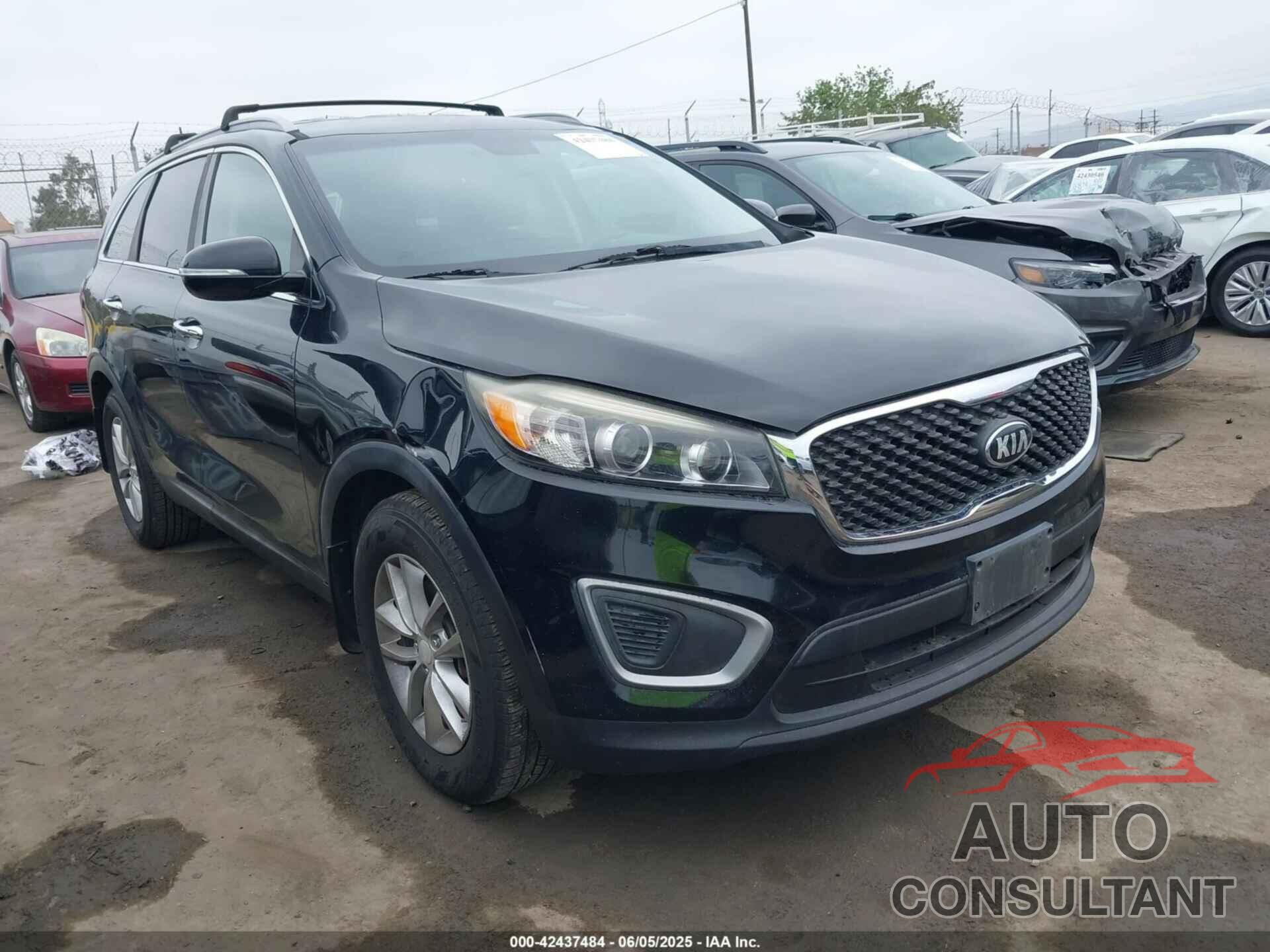 KIA SORENTO 2016 - 5XYPG4A50GG125693
