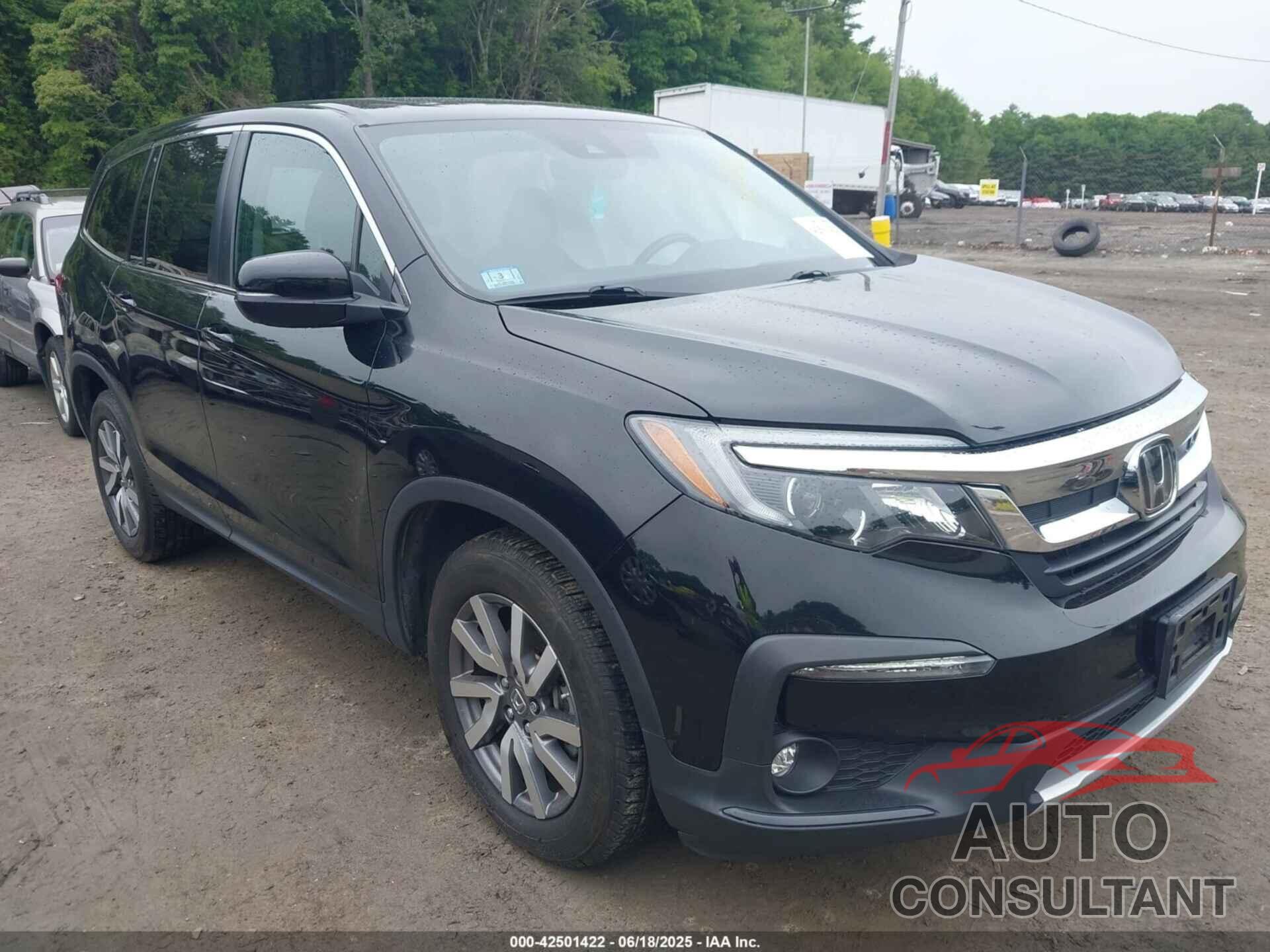 HONDA PILOT 2019 - 5FNYF6H51KB061852