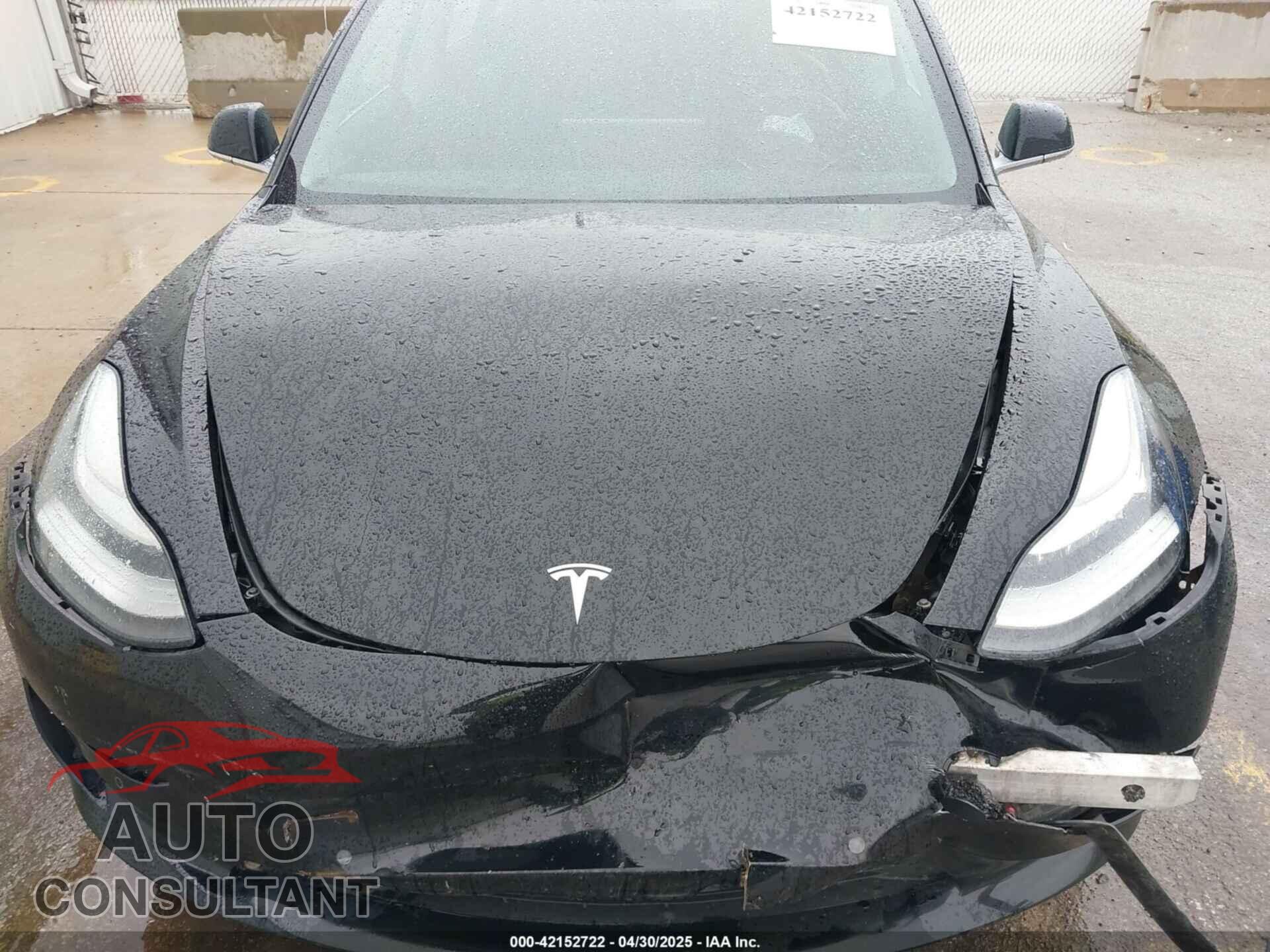 TESLA MODEL 3 2019 - 5YJ3E1EA3KF403013
