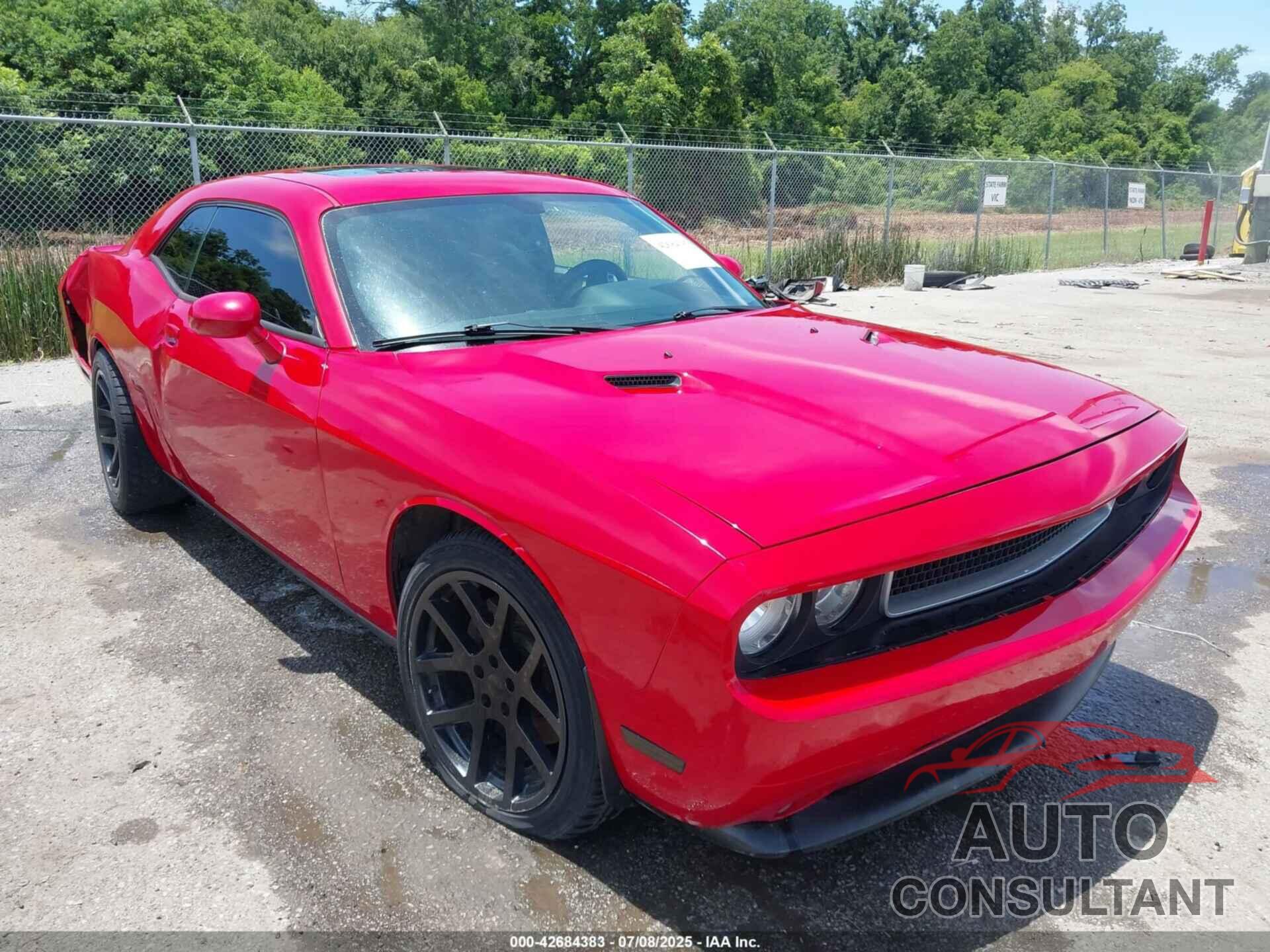 DODGE CHALLENGER 2013 - 2C3CDYBT8DH614369