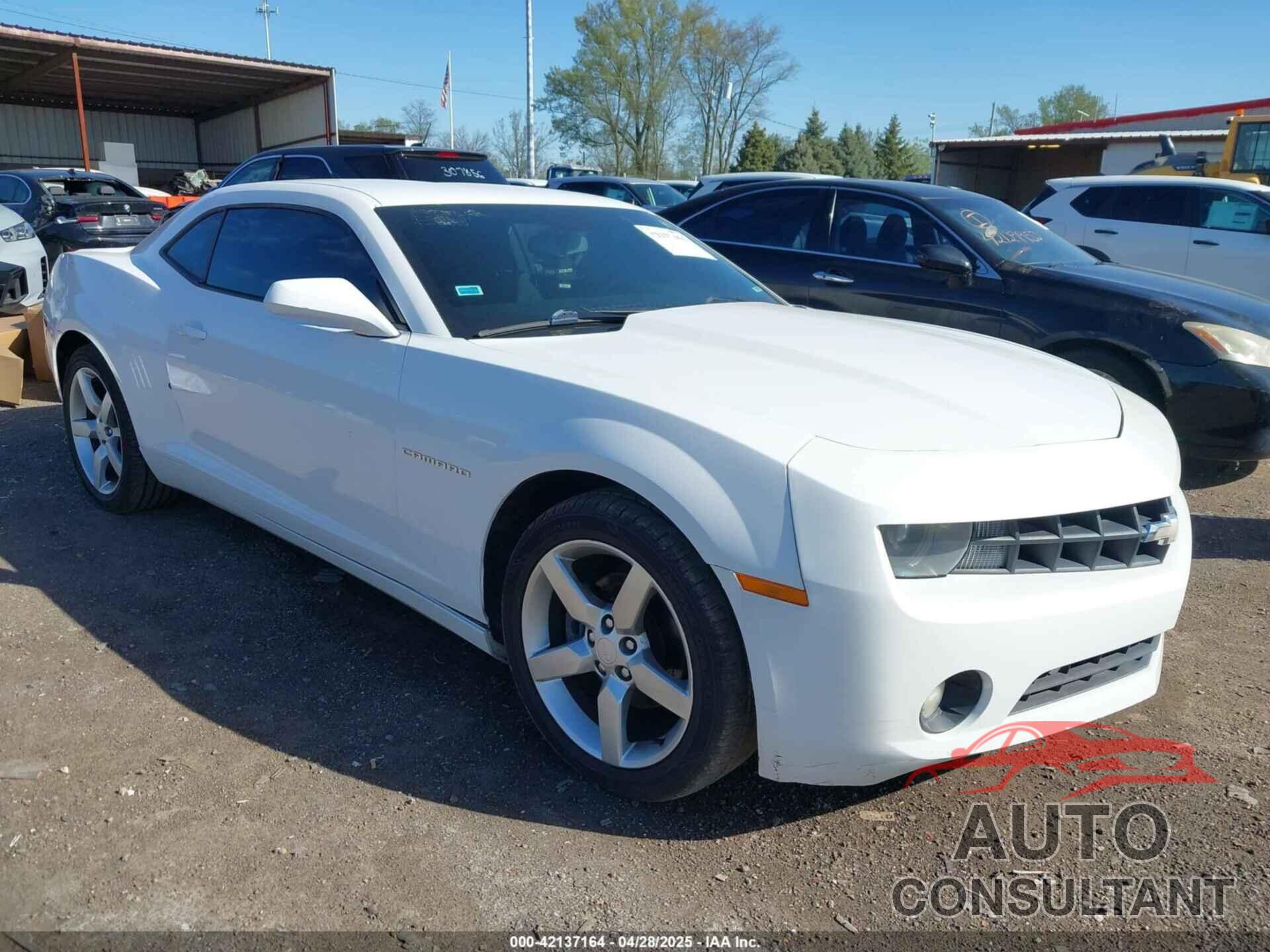 CHEVROLET CAMARO 2010 - 2G1FB1EV7A9220122