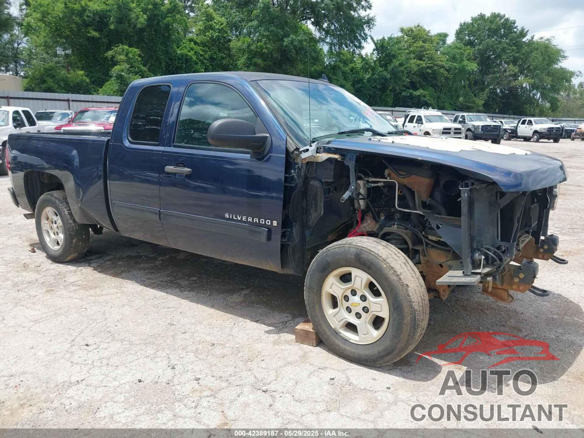 CHEVROLET SILVERADO 1500 2009 - 1GCEC29029Z223080